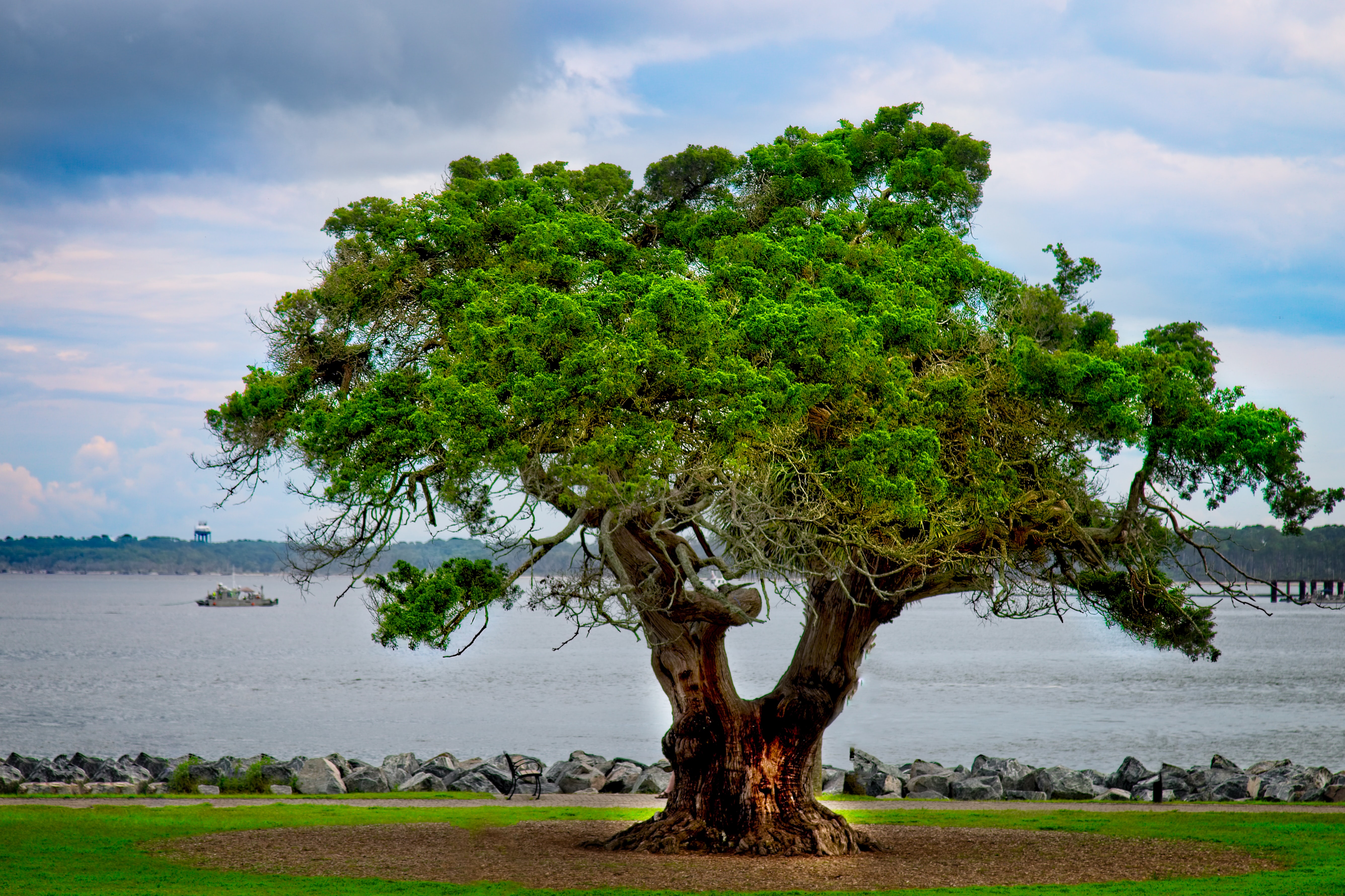 tourhub | Collette | Southern Charm featuring Charleston, Savannah & Jekyll Island 