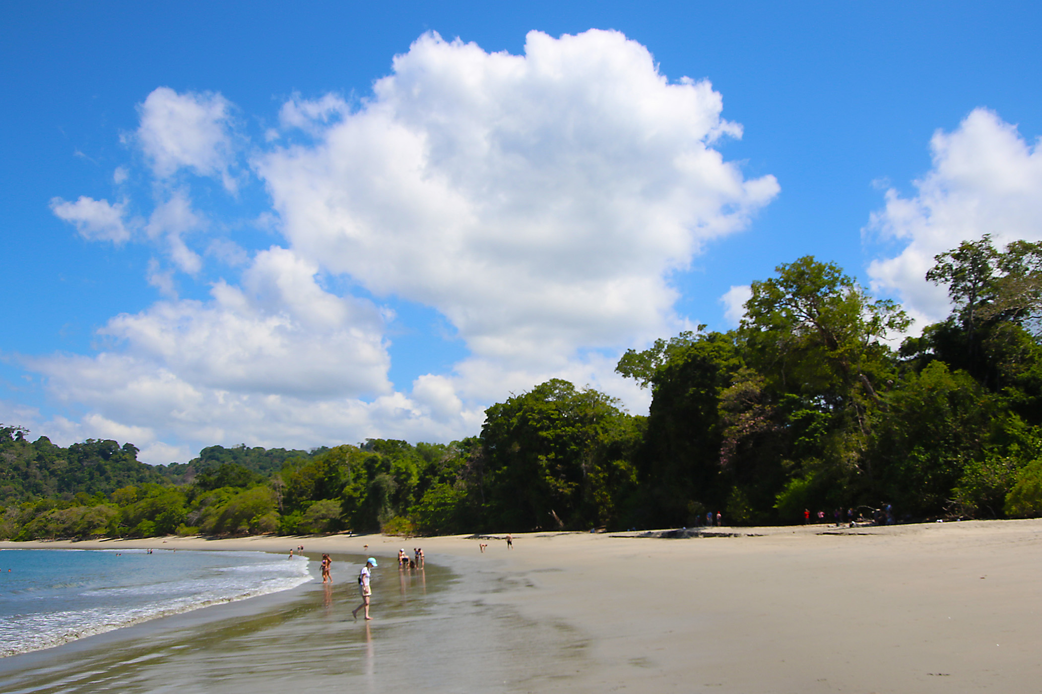 tourhub | Collette | Costa Rica: A World of Nature featuring Tortuguero National Park, Arenal Volcano & Manuel Antonio National Park 