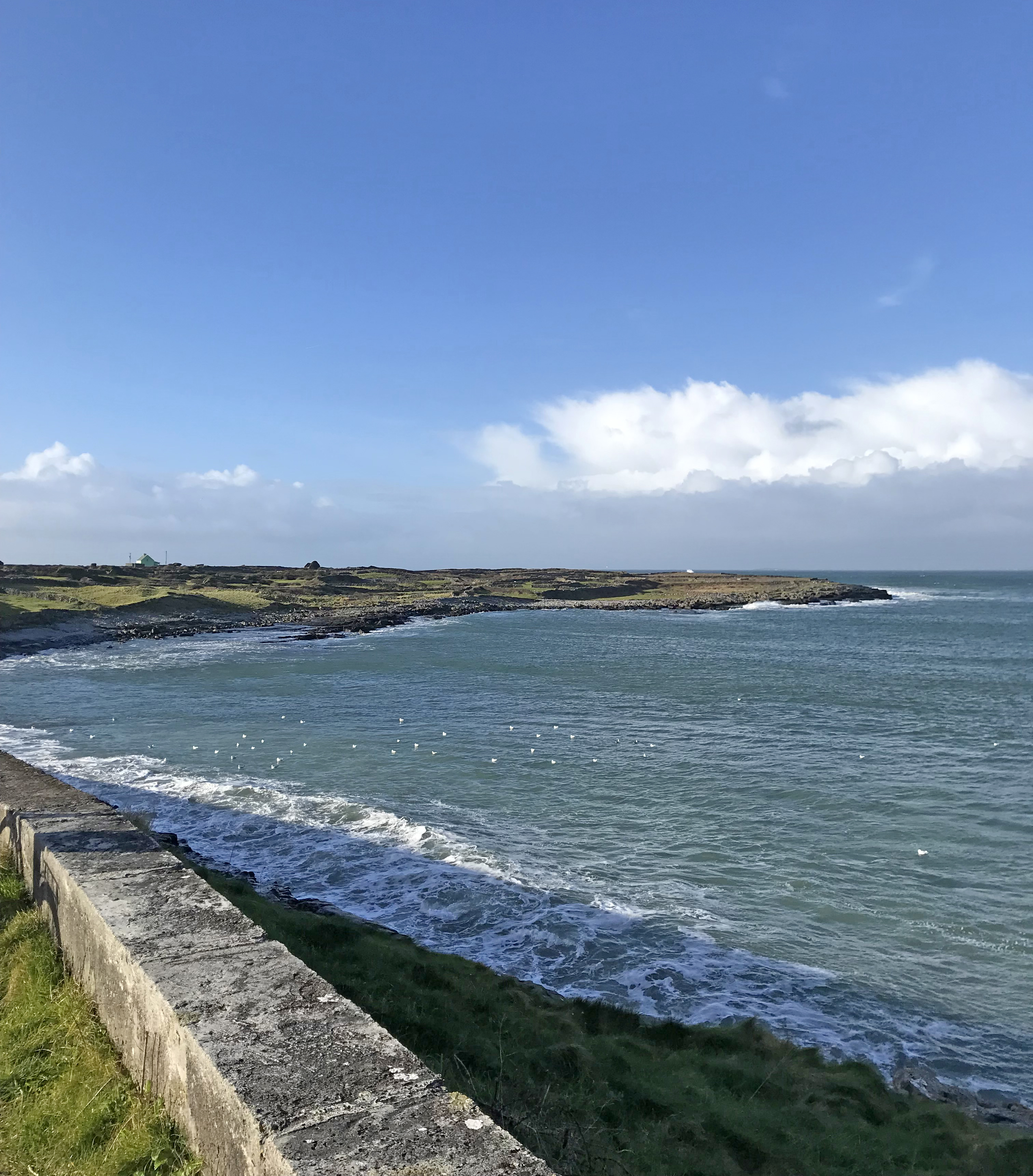 tourhub | Collette | Countryside of the Emerald Isle  