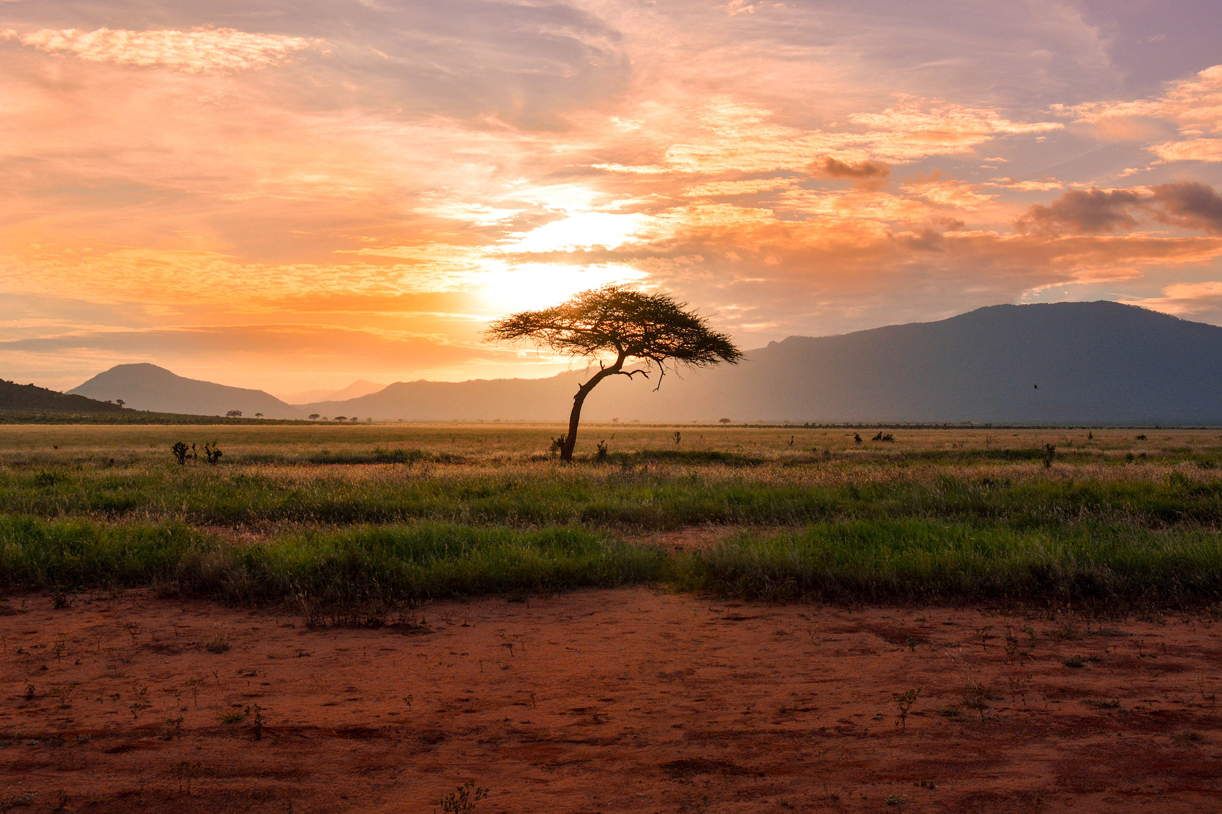 tourhub | Collette | African Safari: Kenya and Tanzania  