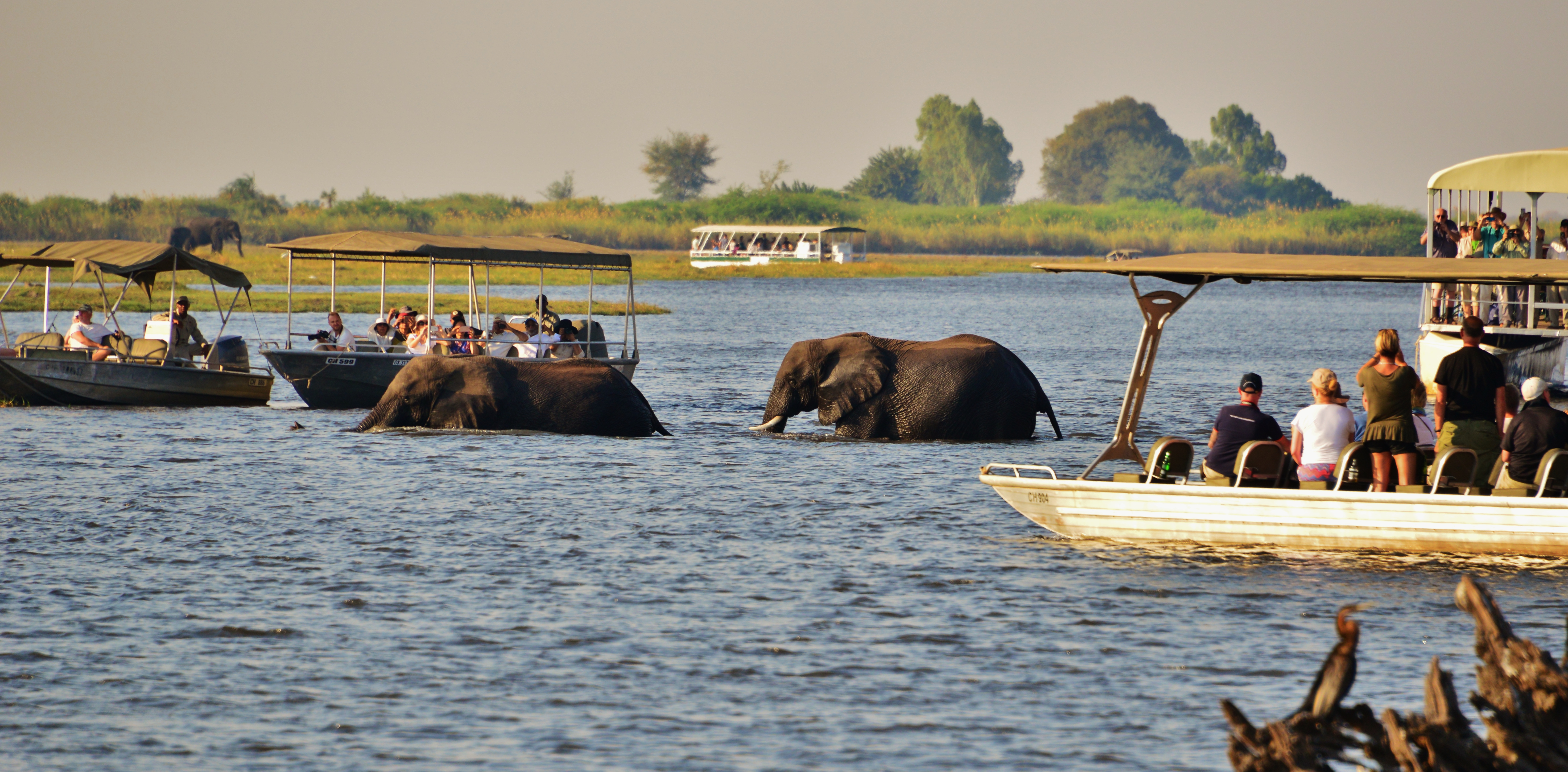 tourhub | Collette | Wilderness of Southern Africa: Safari by Land & Water  