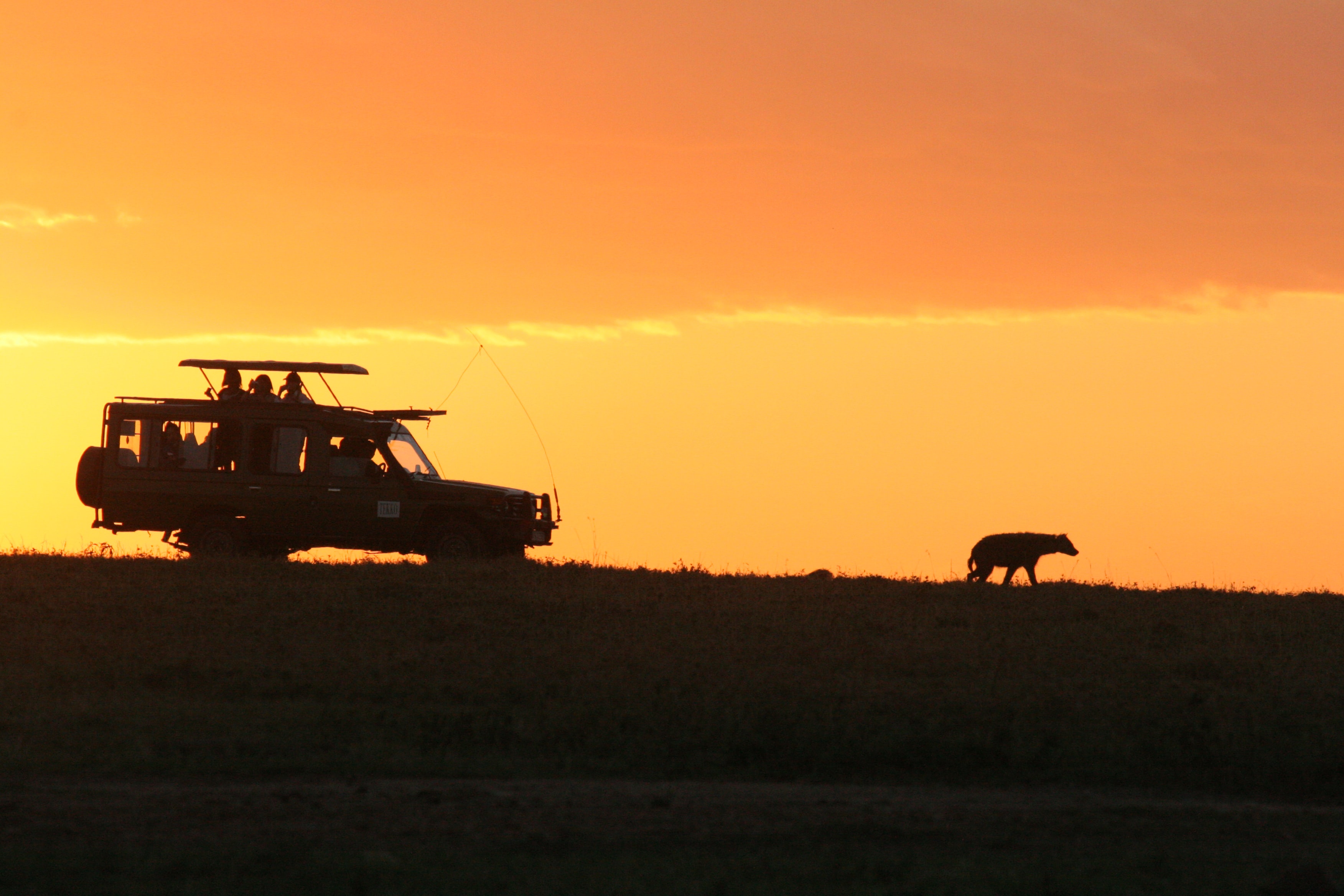 tourhub | Collette | Wilderness of Southern Africa: Safari by Land & Water  