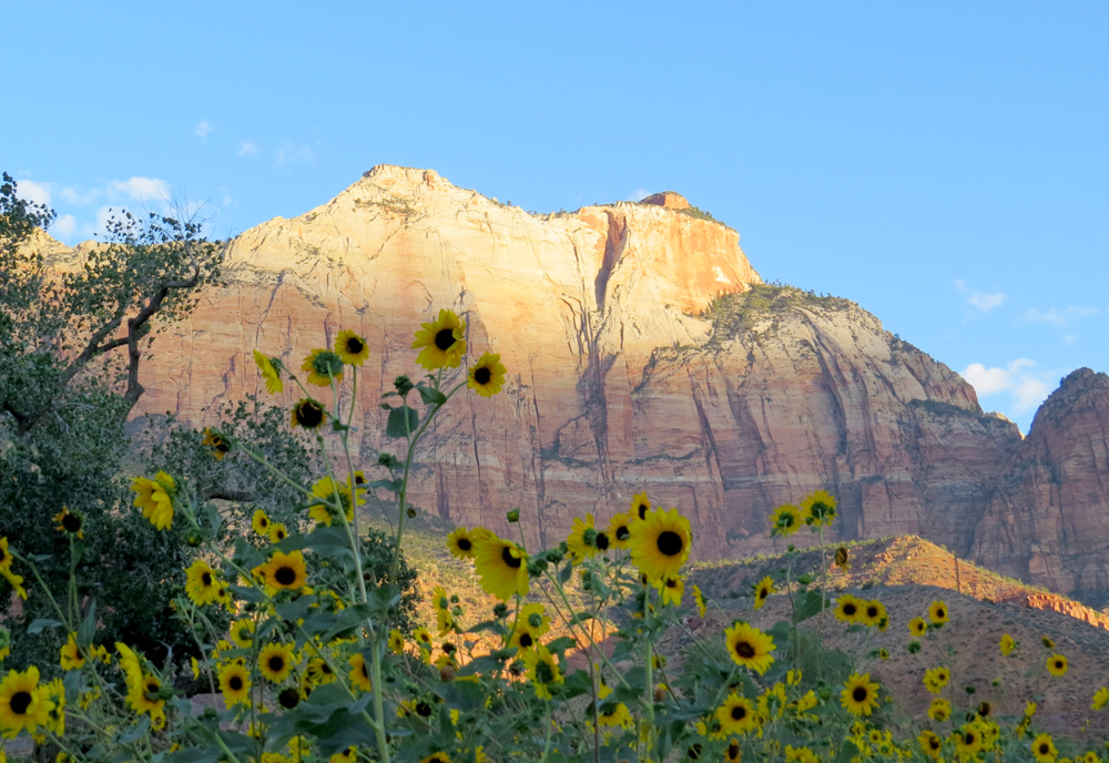 Painted Canyons of the West