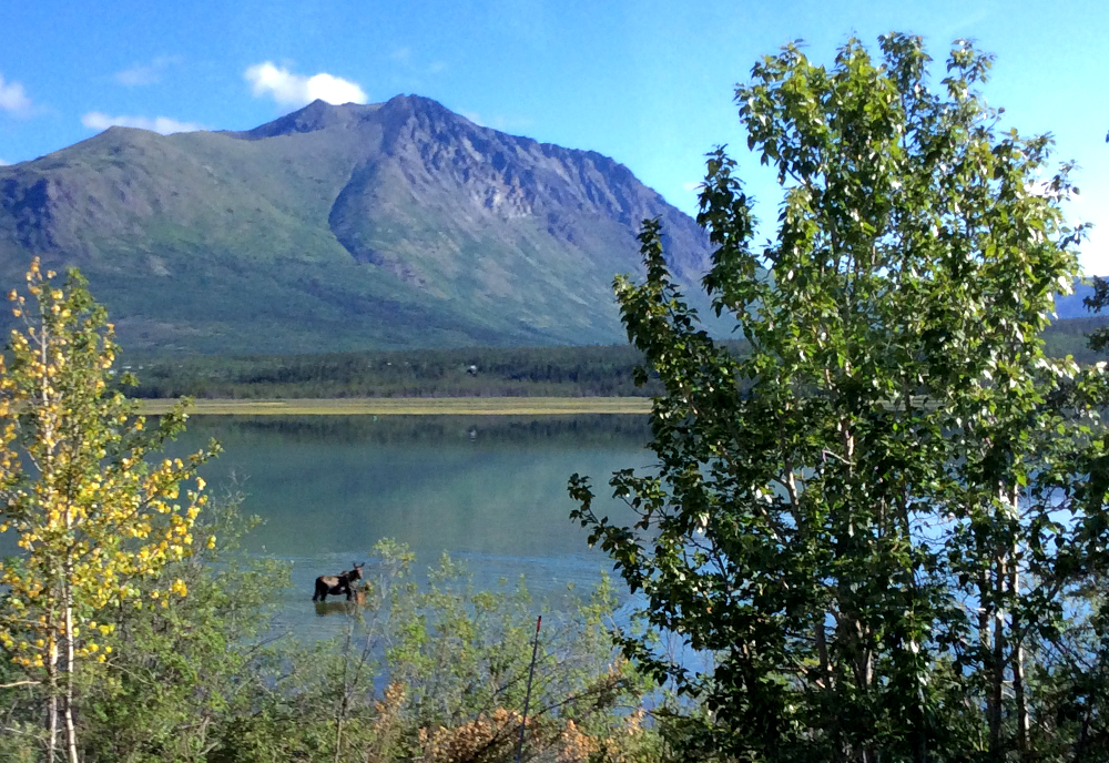 tourhub | Collette | Alaska's Northern Lights  