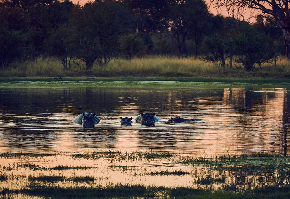 tourhub | Collette | Wilderness of Southern Africa: Safari by Land & Water  