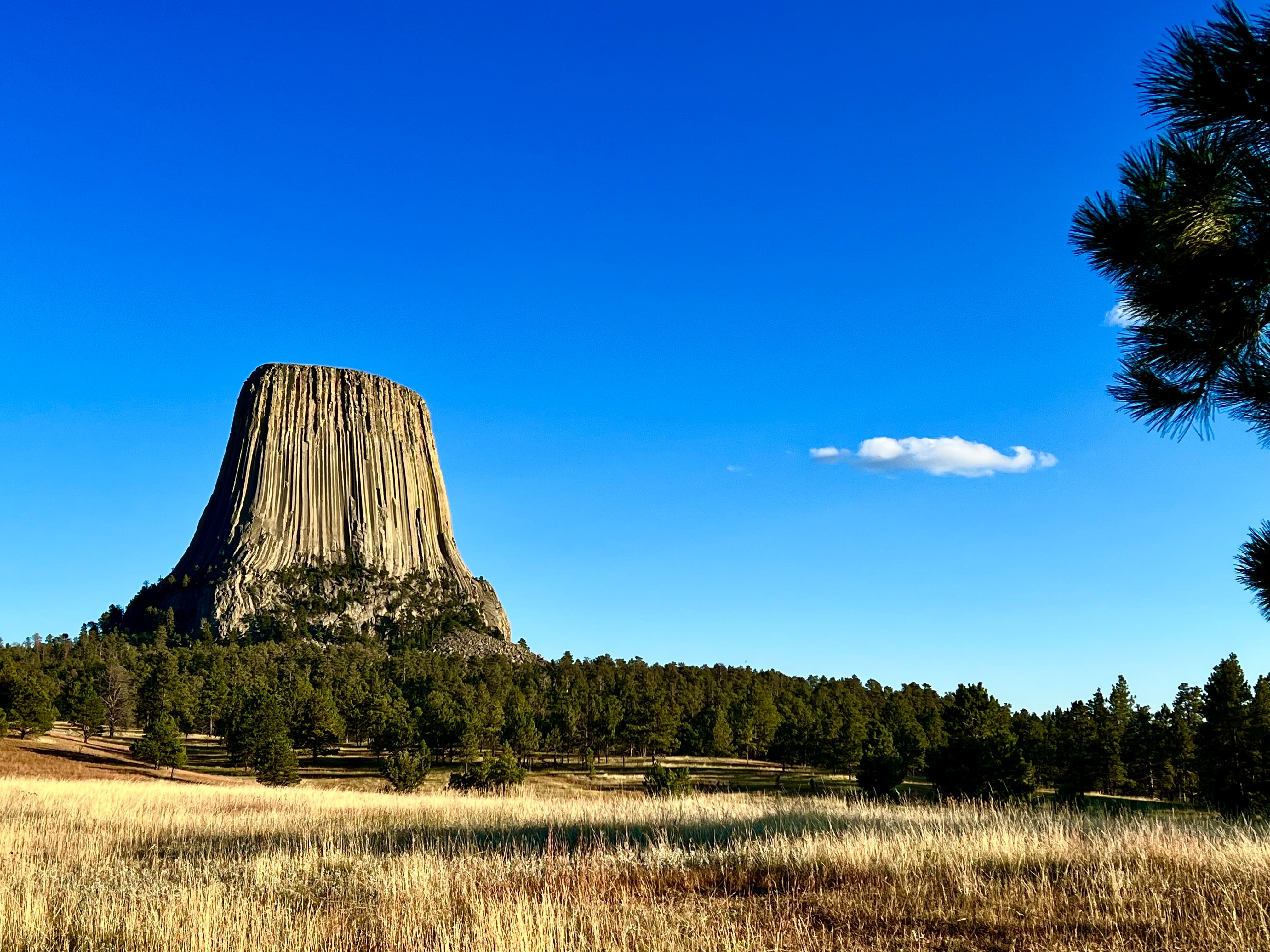 tourhub | Collette | Spotlight on South Dakota featuring Mount Rushmore & The Badlands 