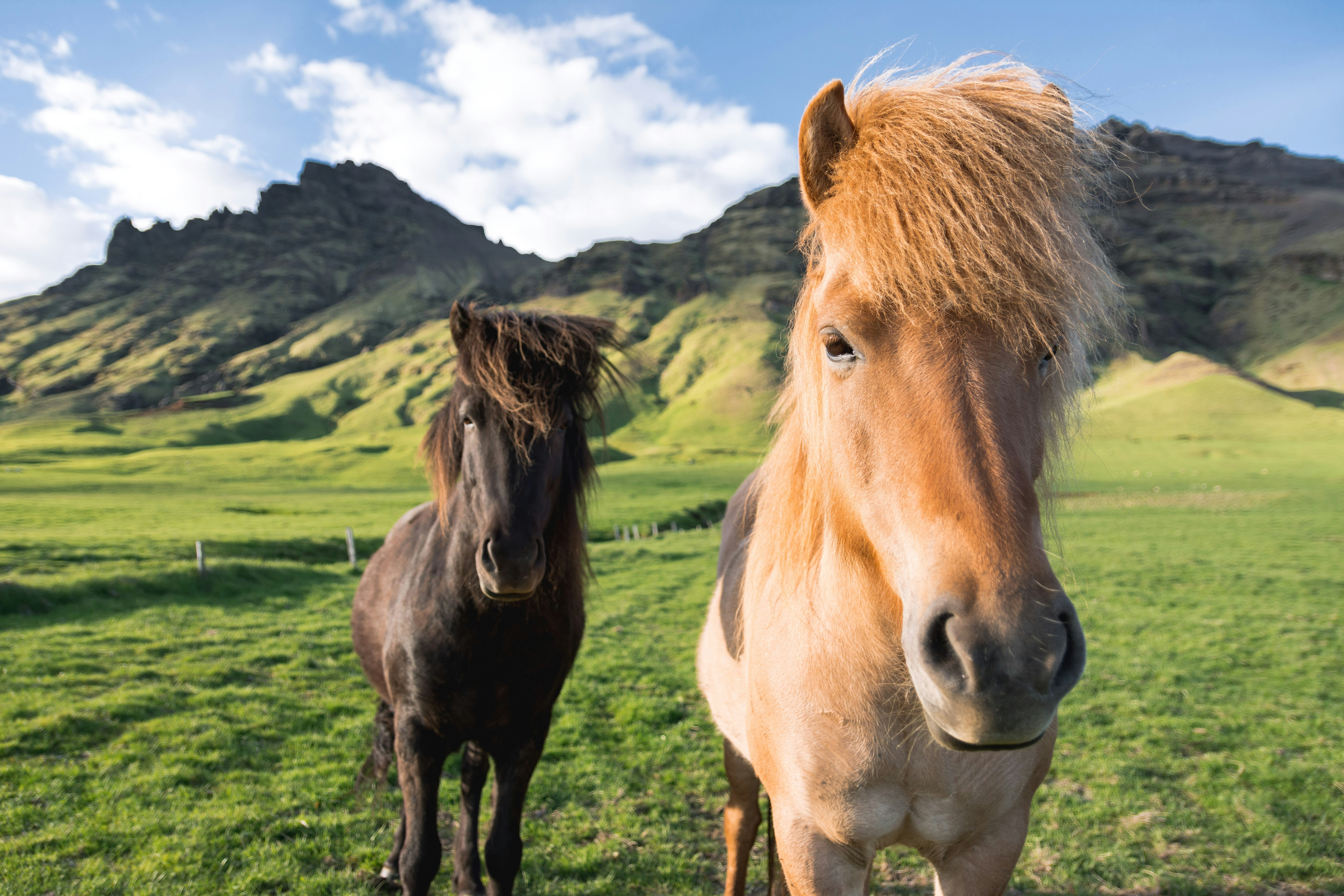 tourhub | Collette | Icelandic Adventure  