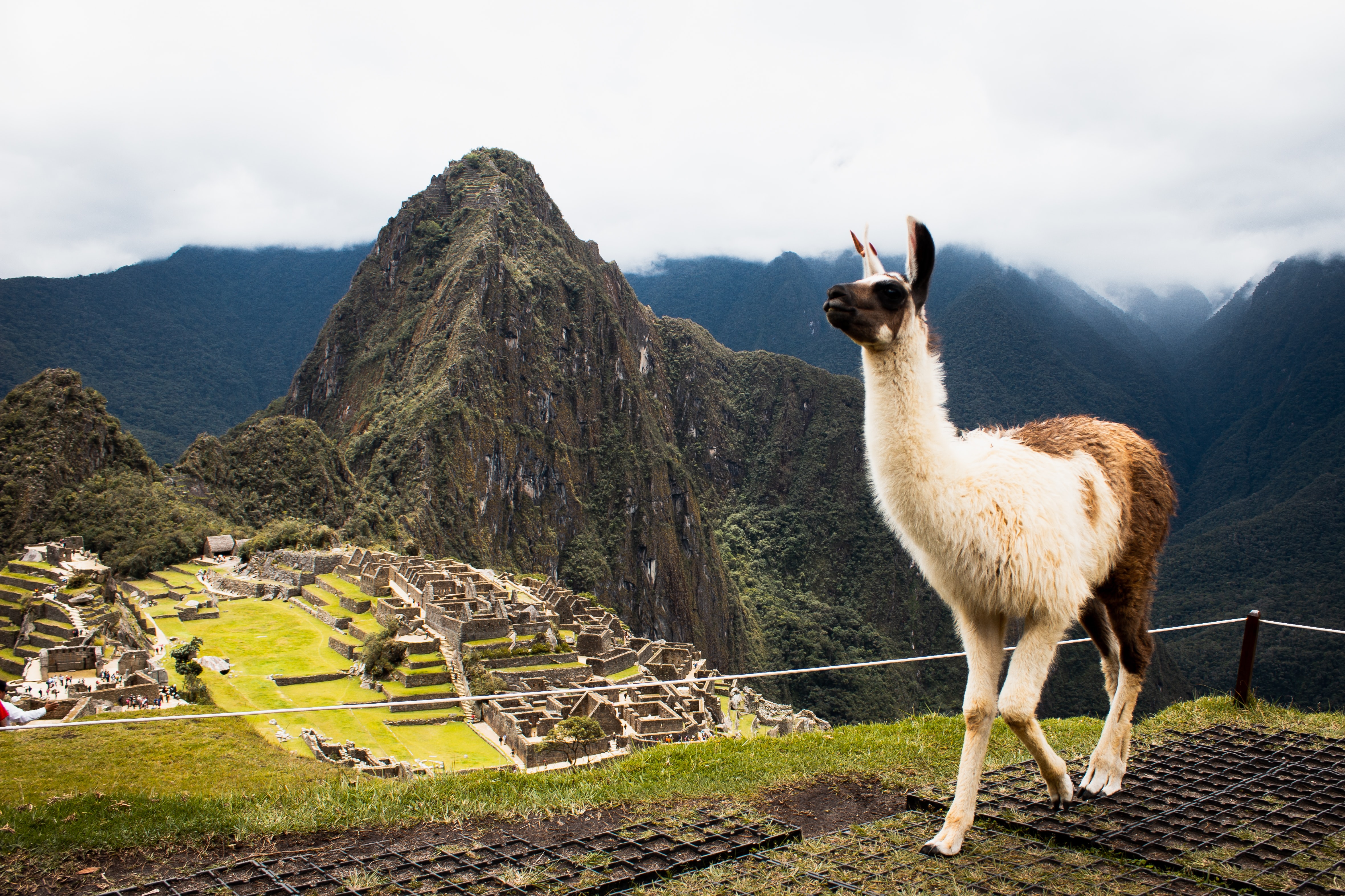 tourhub | Collette | Peru: Machu Picchu and Lake Titicaca  