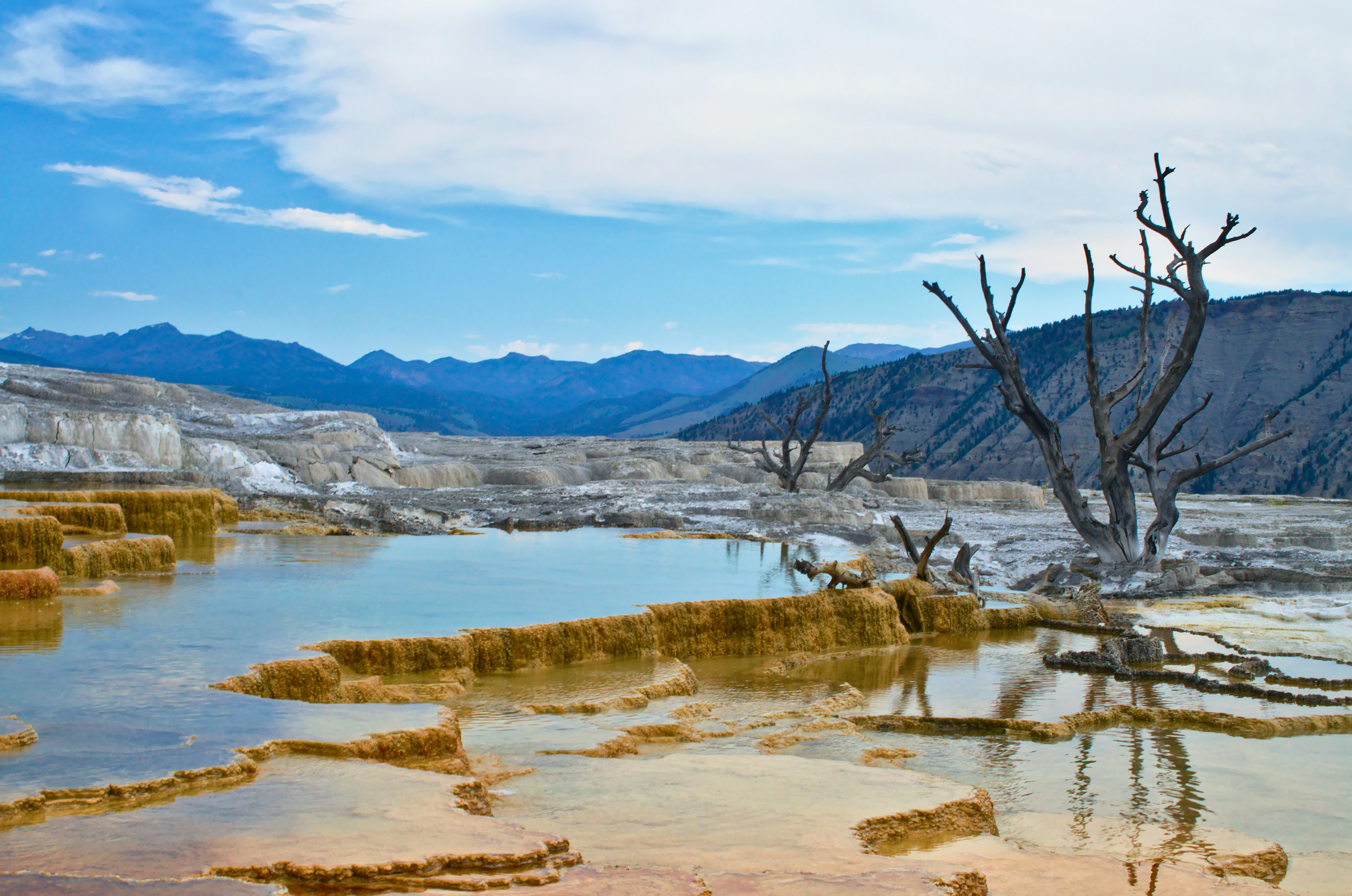 tourhub | Collette | Montana: Exploring Big Sky Country featuring Yellowstone & Glacier National Parks 