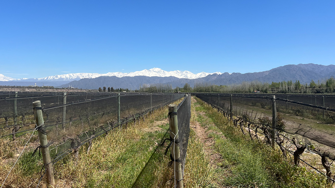 tourhub | Collette | Essential South America featuring Chile, the Mendoza Wine Region & Buenos Aires 