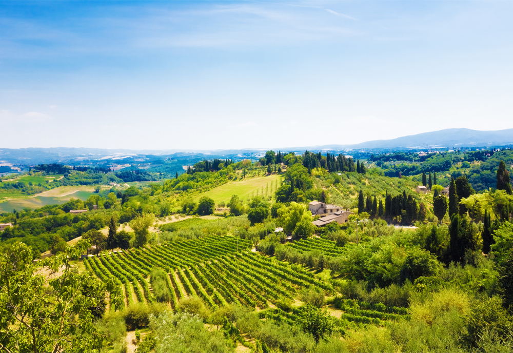 Italy's Treasures Art, Food & Wine of Italy