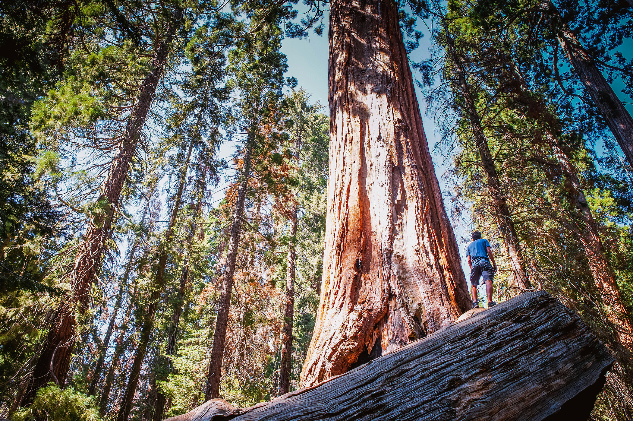 Pacific Northwest & California featuring Washington, Oregon and California