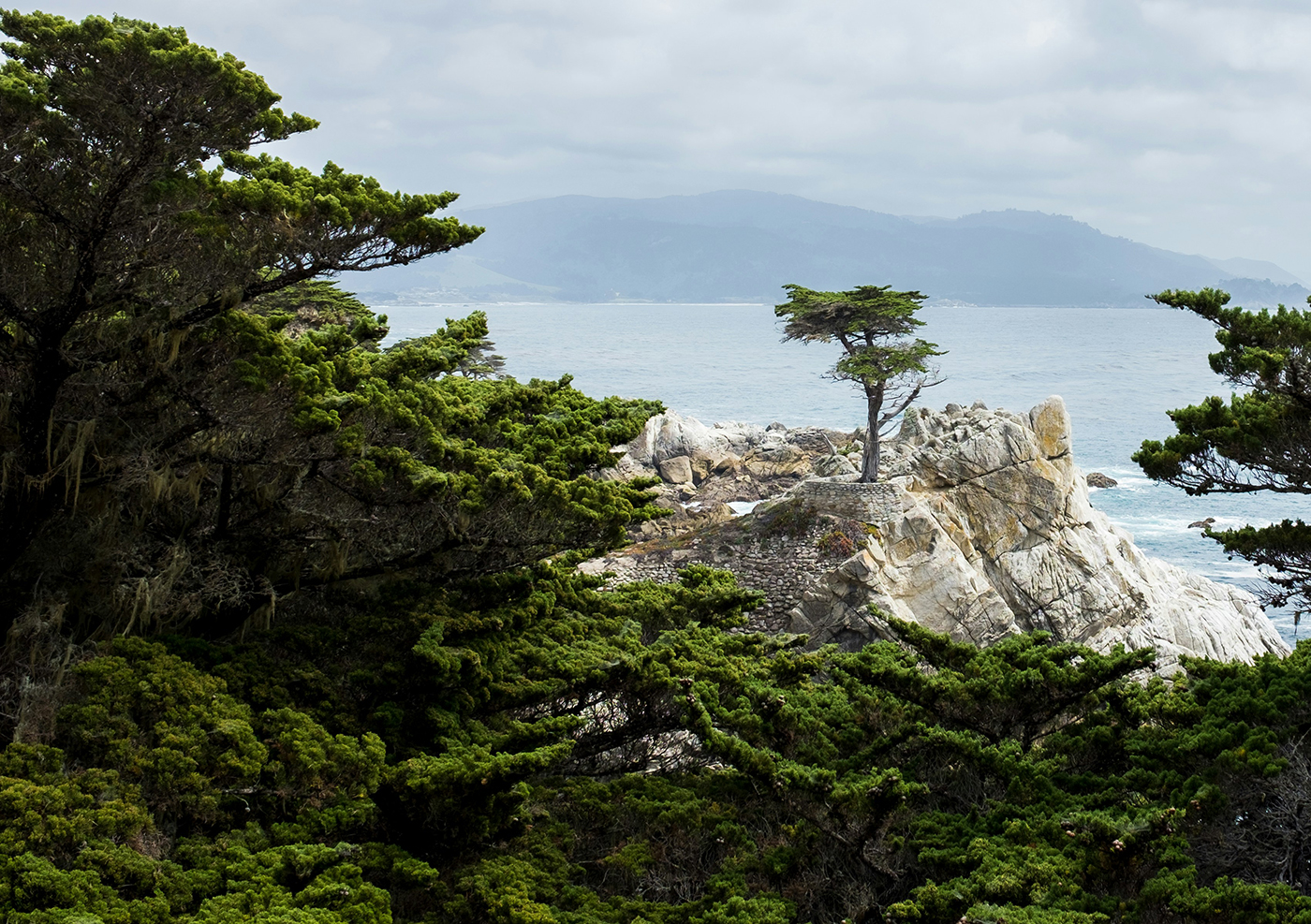 California Dreamin': Monterey, Yosemite & Napa