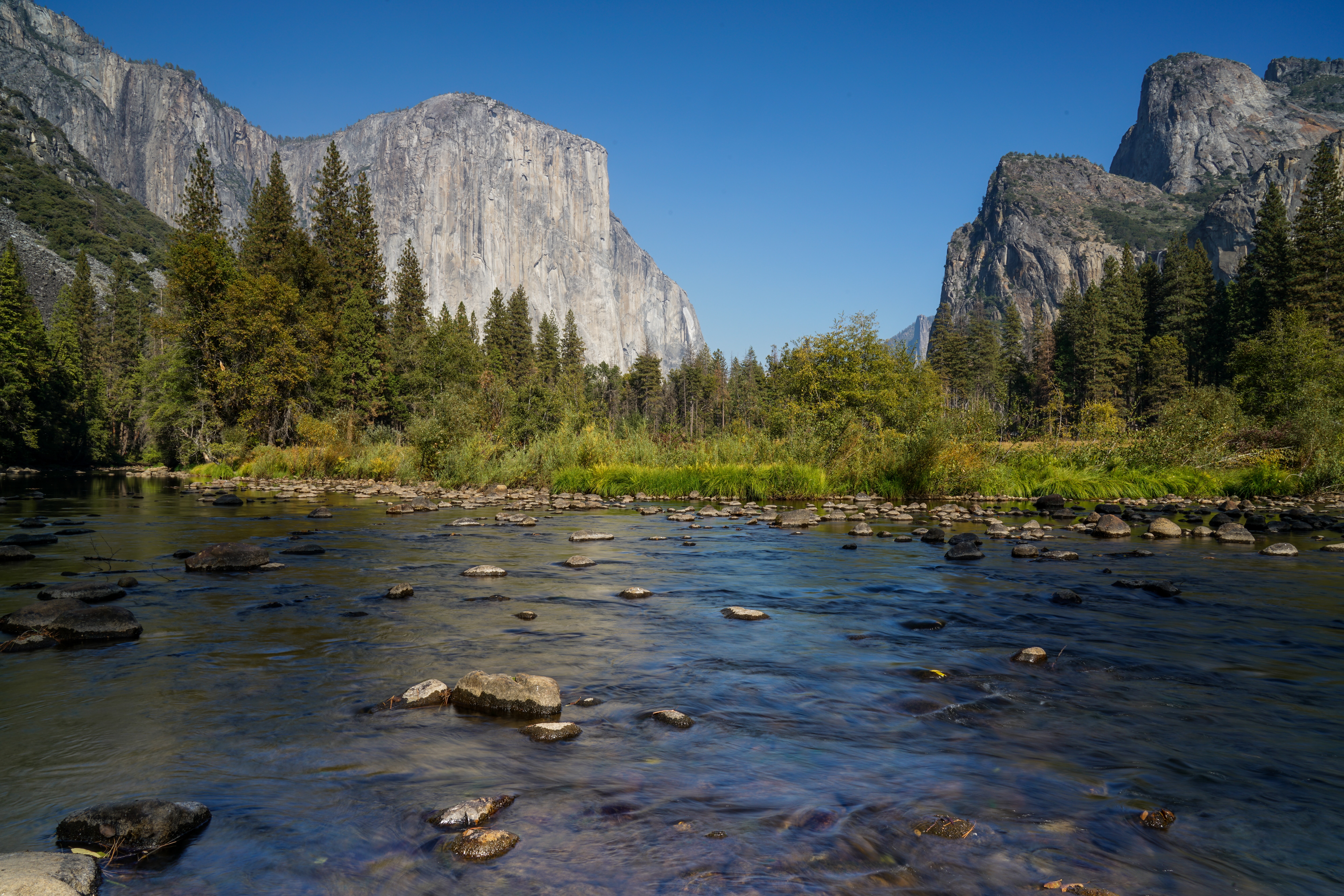 California Dreamin': Monterey, Yosemite & Napa