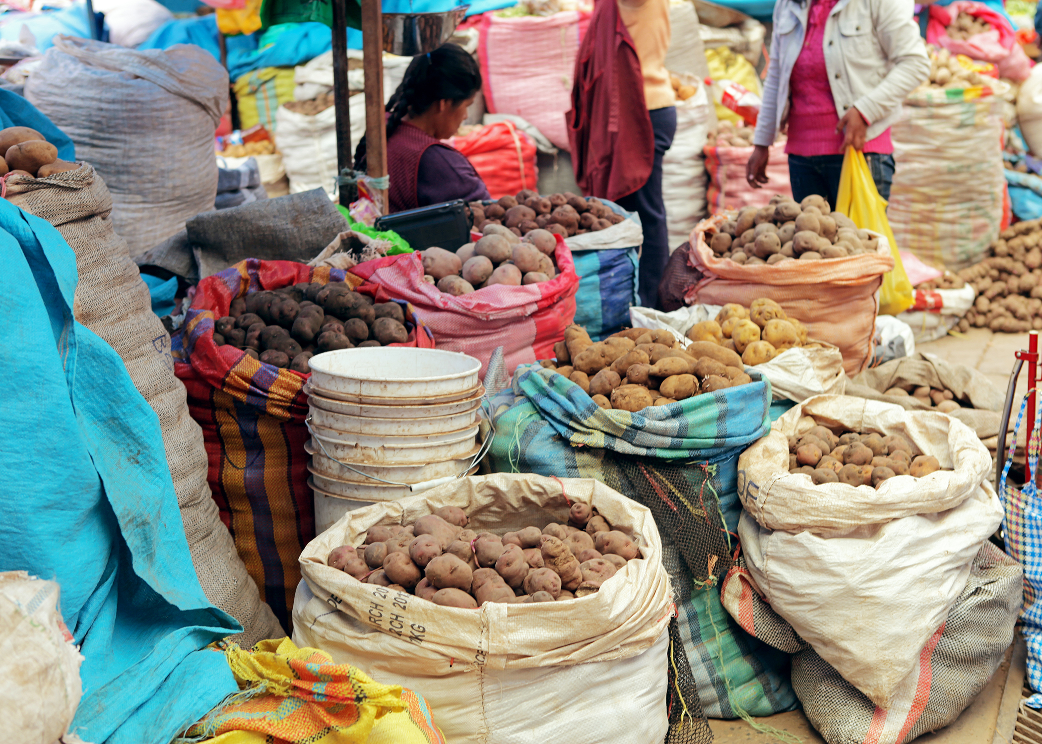 Peru: Machu Picchu and Lake Titicaca