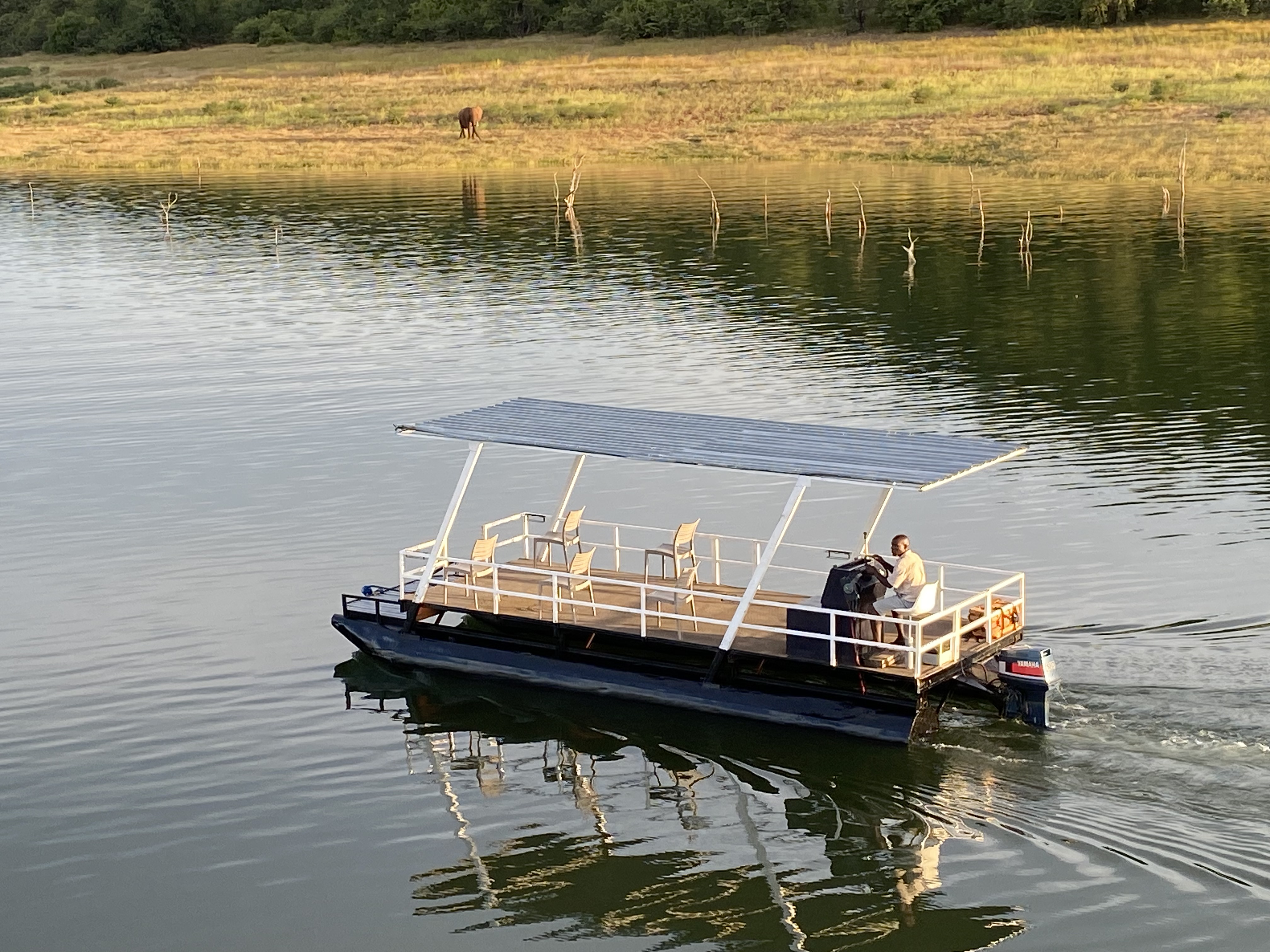 Wilderness of Southern Africa: Safari by Land & Water