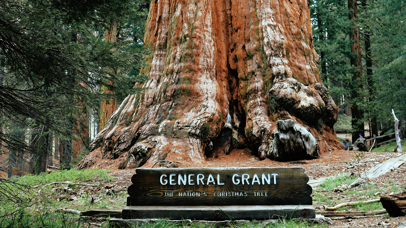 Sequoia & Kings Canyon National Parks featuring San Diego and California’s Central Coast