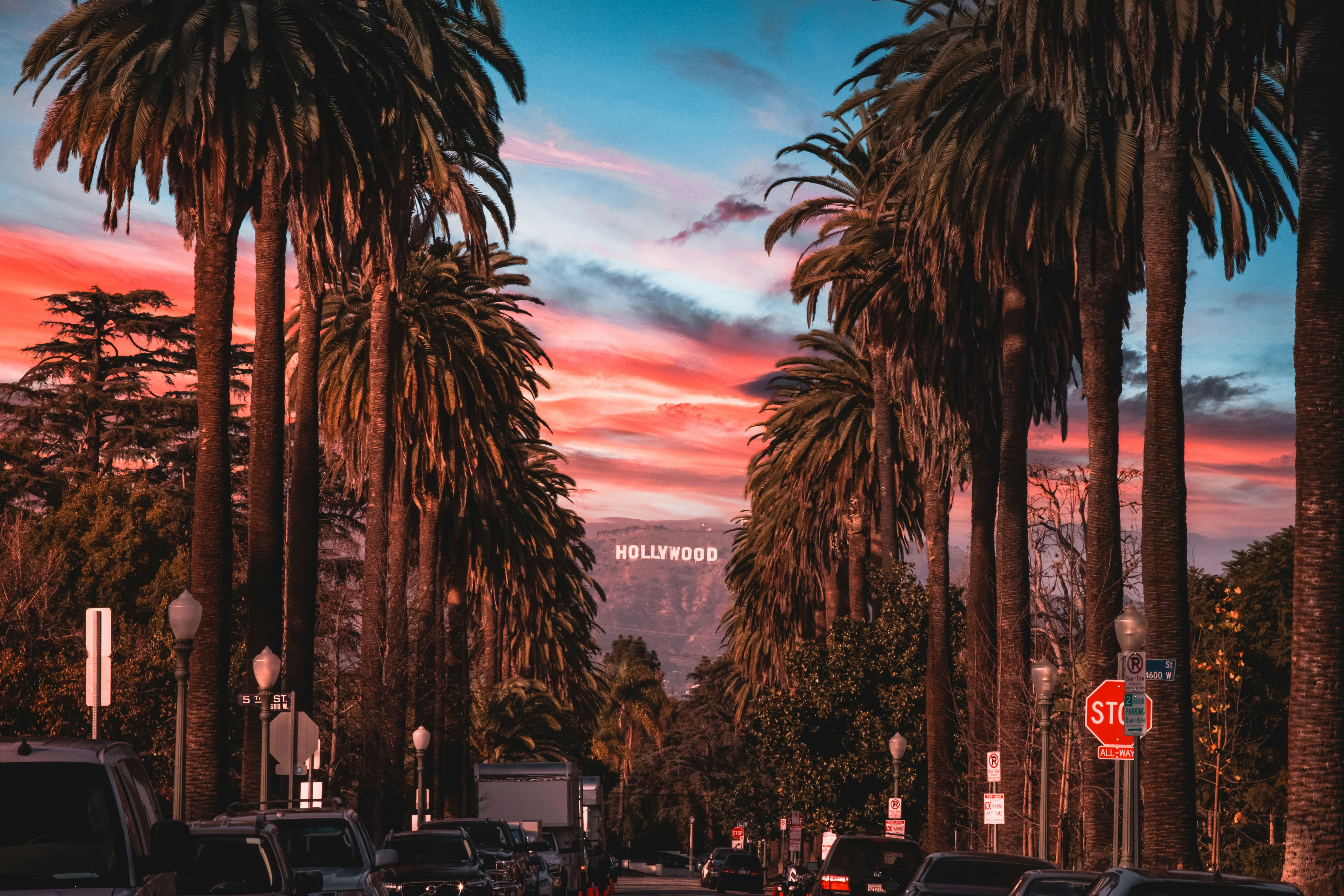 Sequoia & Kings Canyon National Parks featuring San Diego and California’s Central Coast