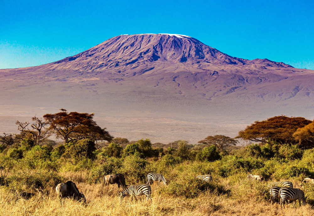 The Plains of Africa Kenya Wildlife Safari