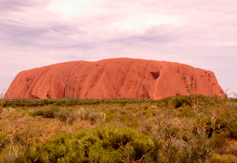 Australia and New Zealand Uncovered