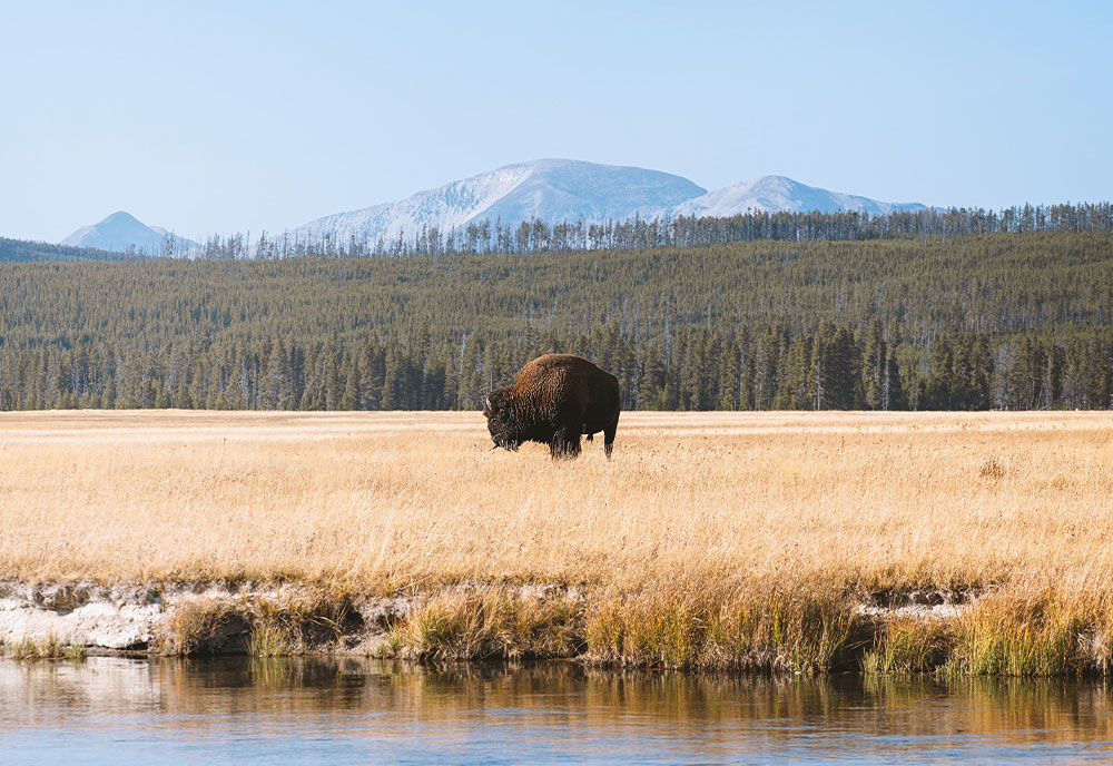 National Parks of America