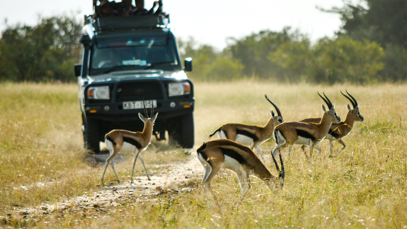 The Plains of Africa Kenya Wildlife Safari