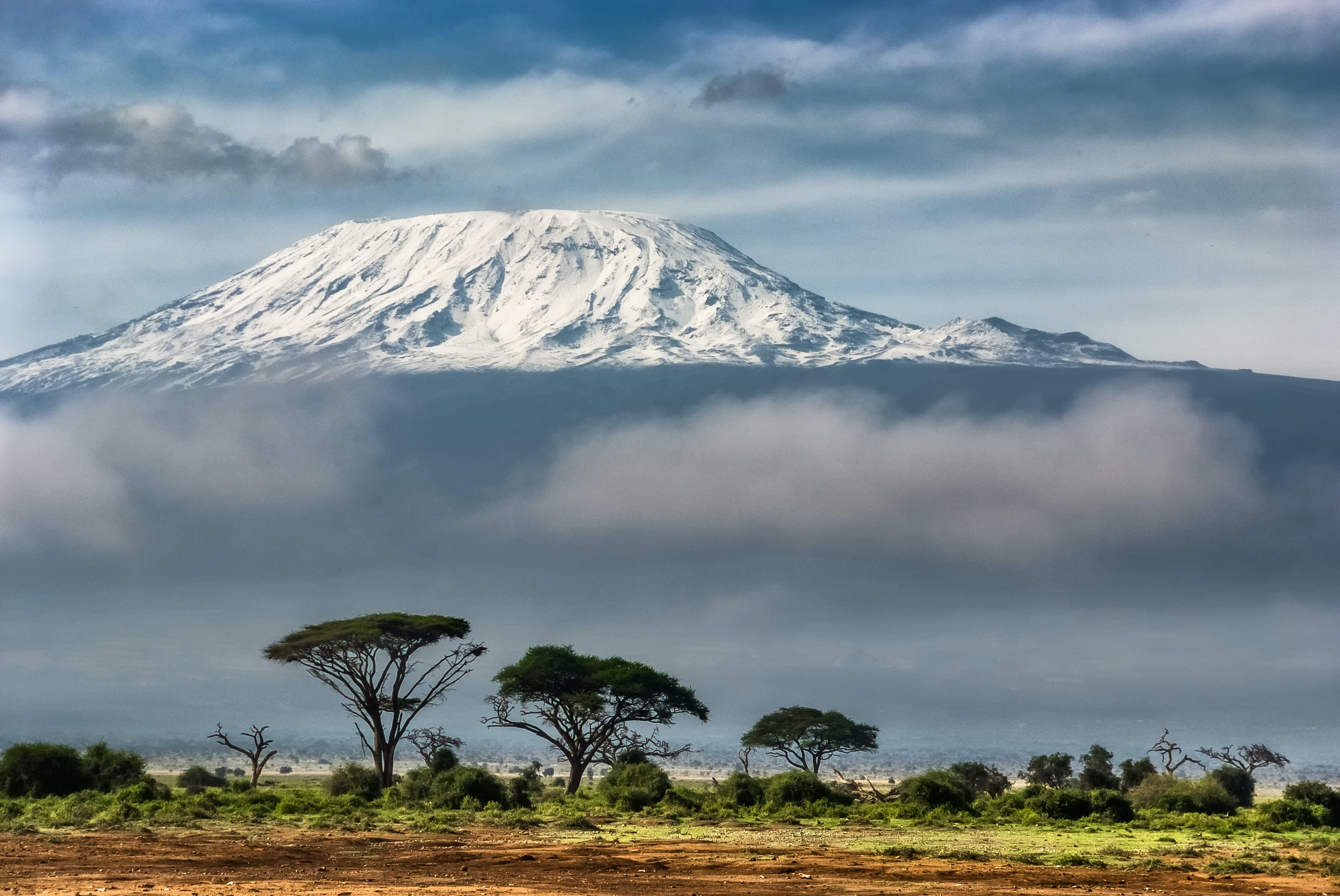 The Plains of Africa Kenya Wildlife Safari
