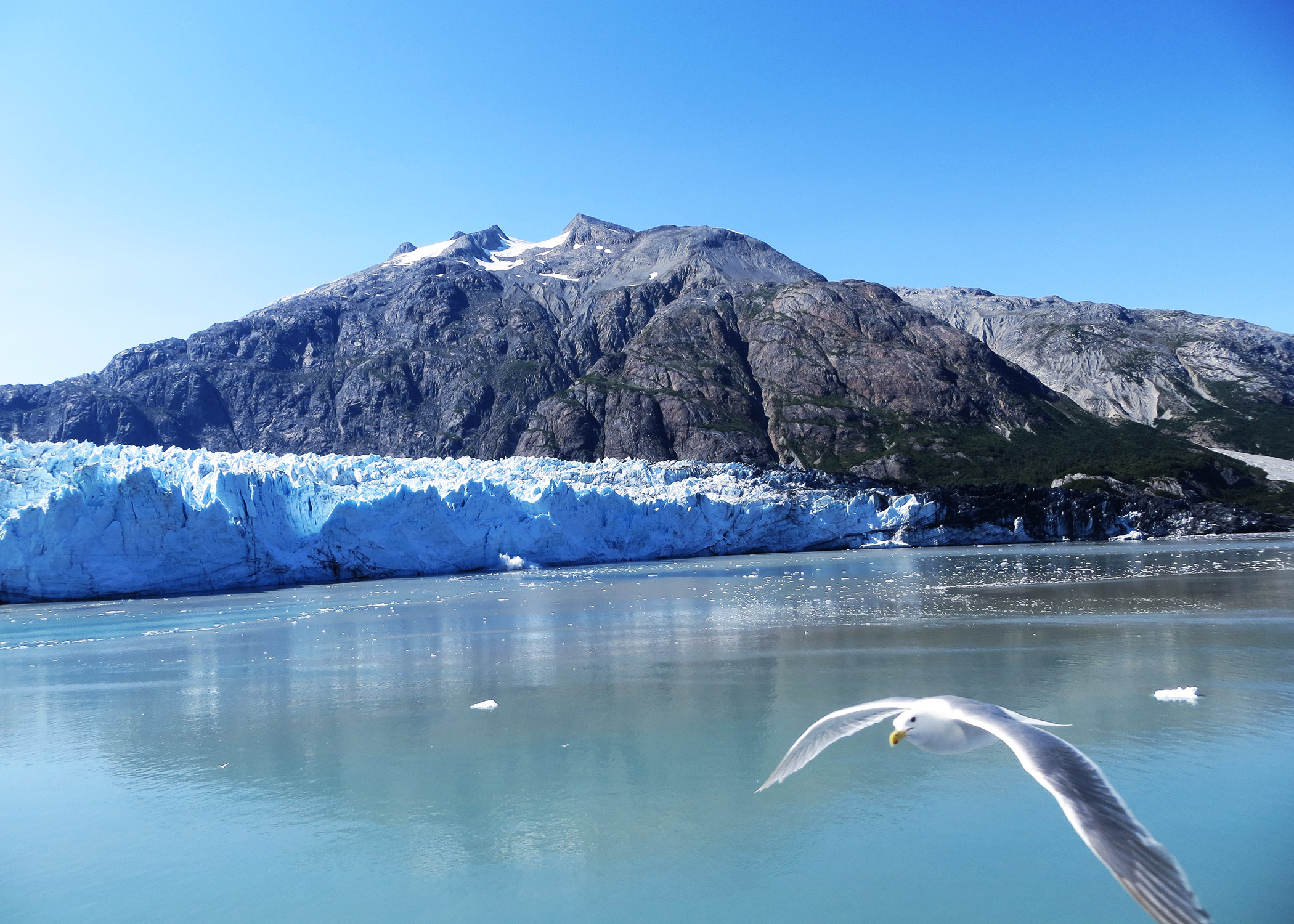Alaska Discovery Land & Cruise featuring a 7-night Holland America Cruise