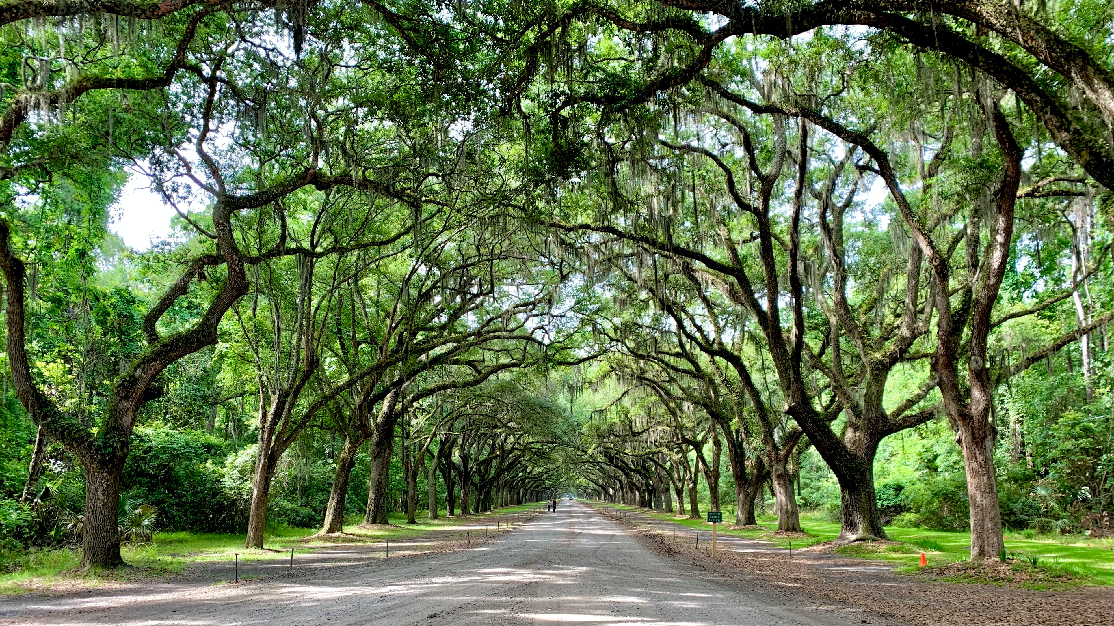 Southern Charm Holiday