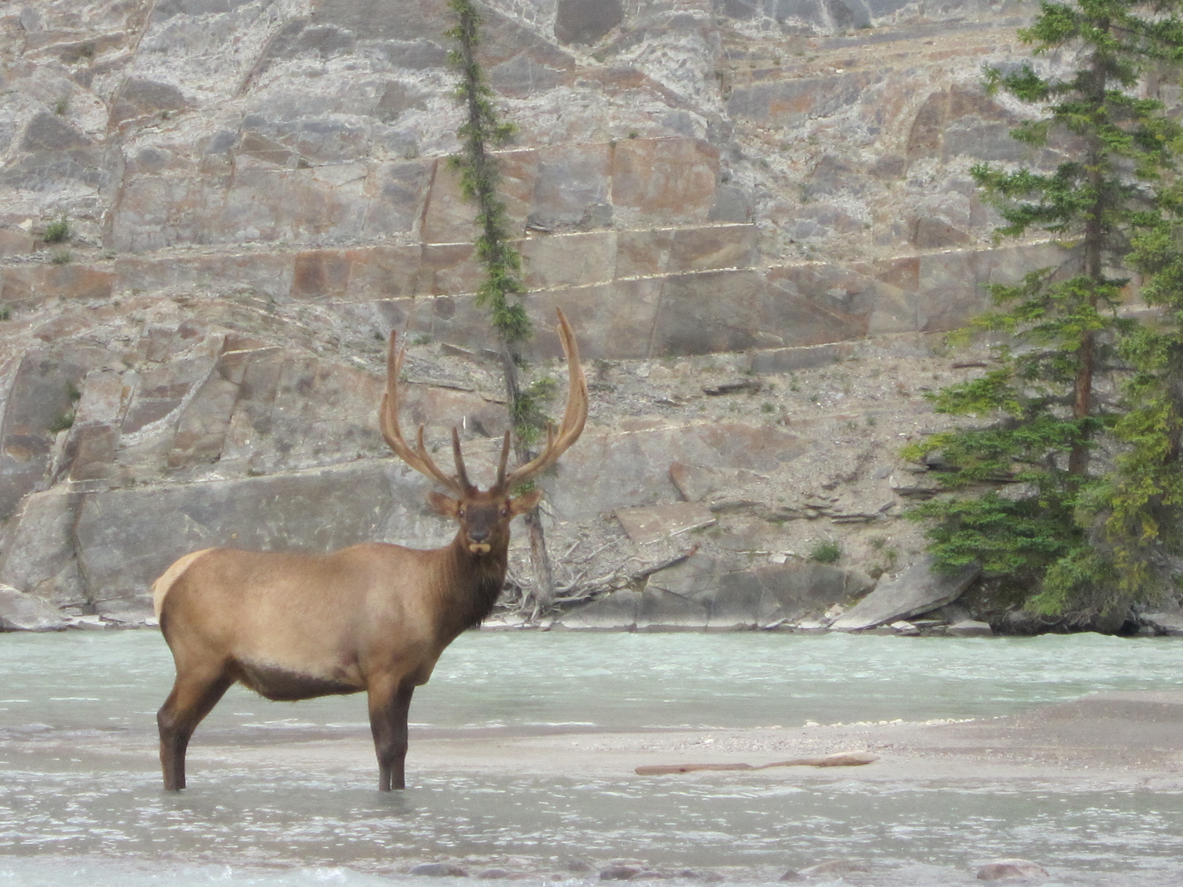 Canadian Rockies & Glacier National Park