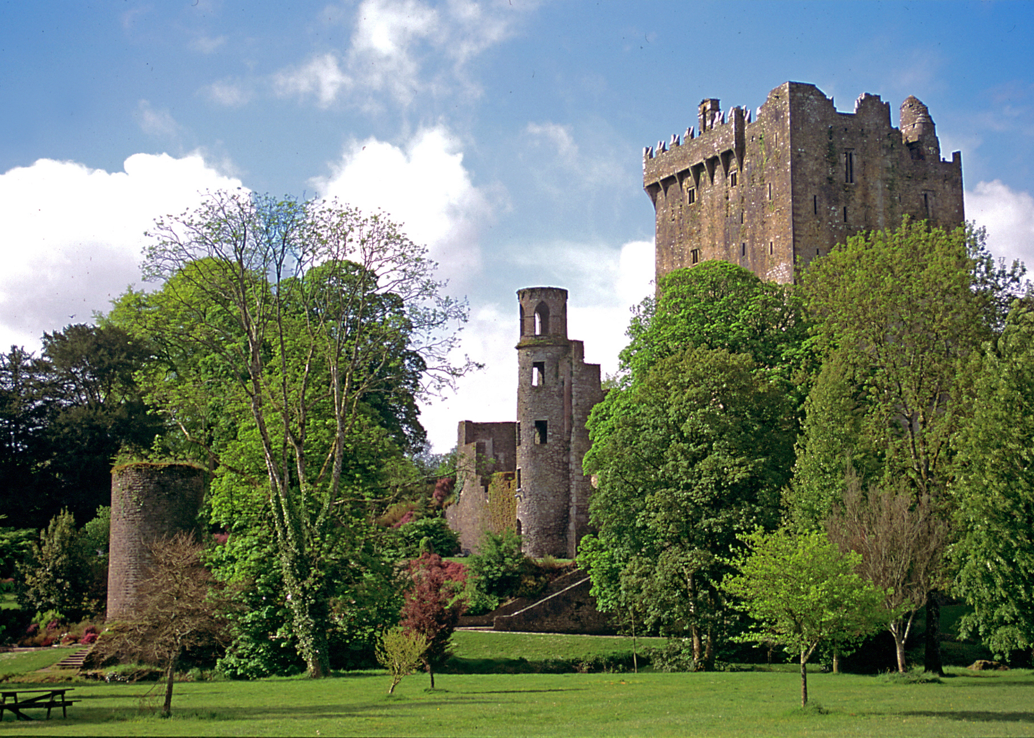 Irish Splendor