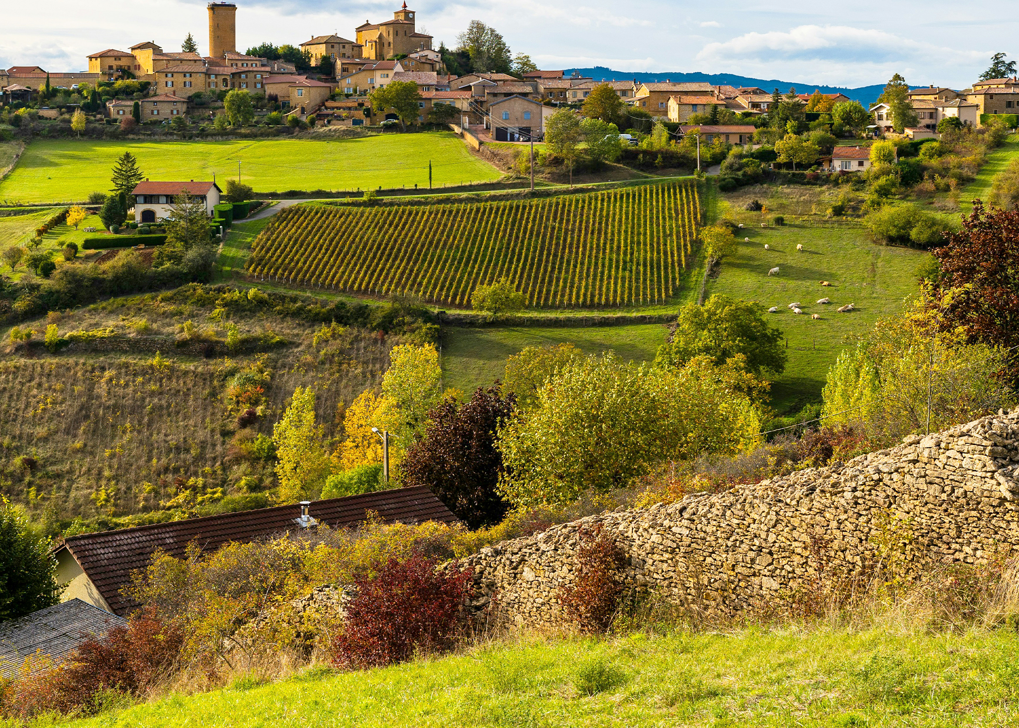Tuscany, Lake Maggiore & the Italian Riviera