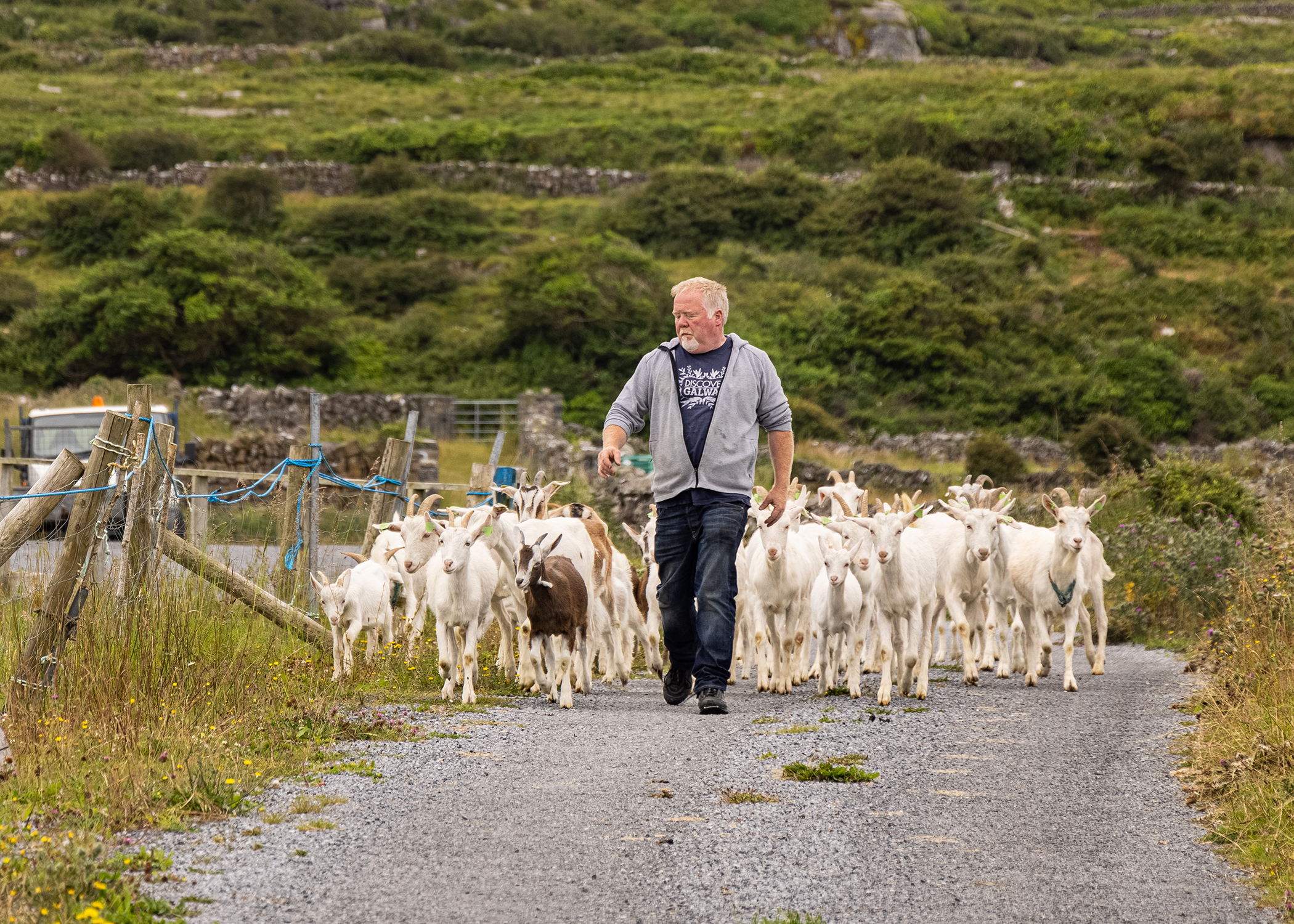 Countryside of the Emerald Isle