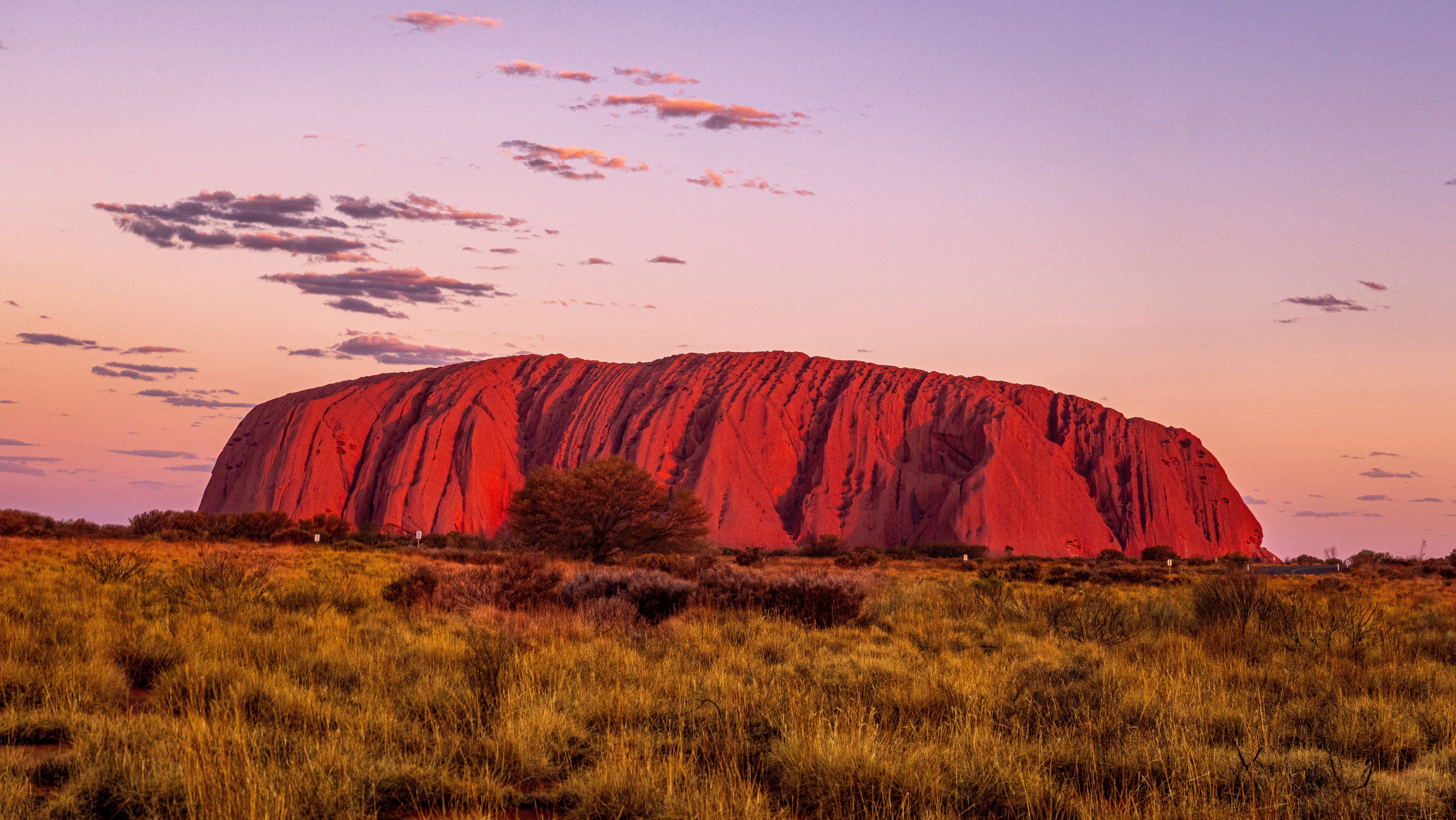 Australia and New Zealand Uncovered