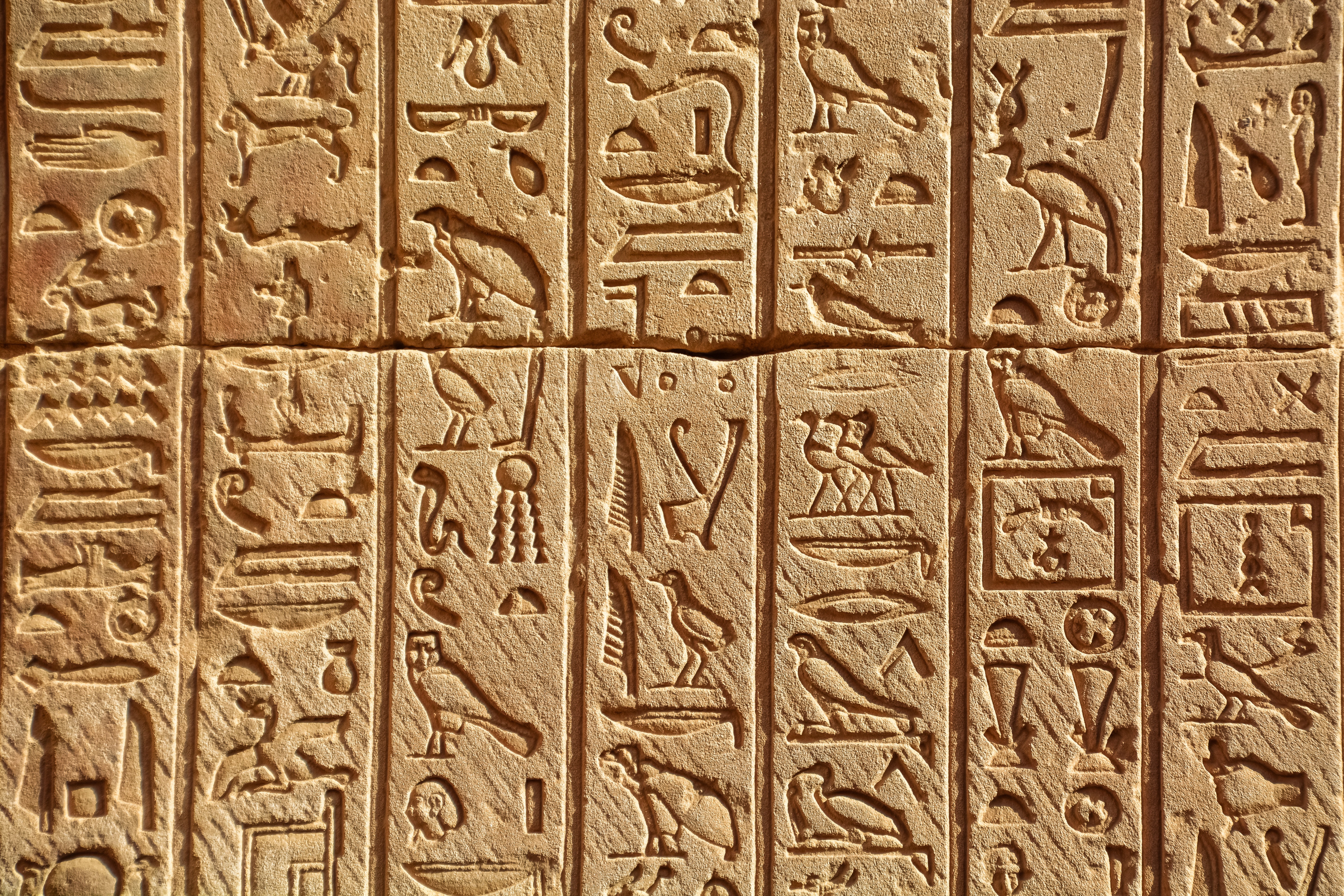 Journey Through Egypt and Jordan