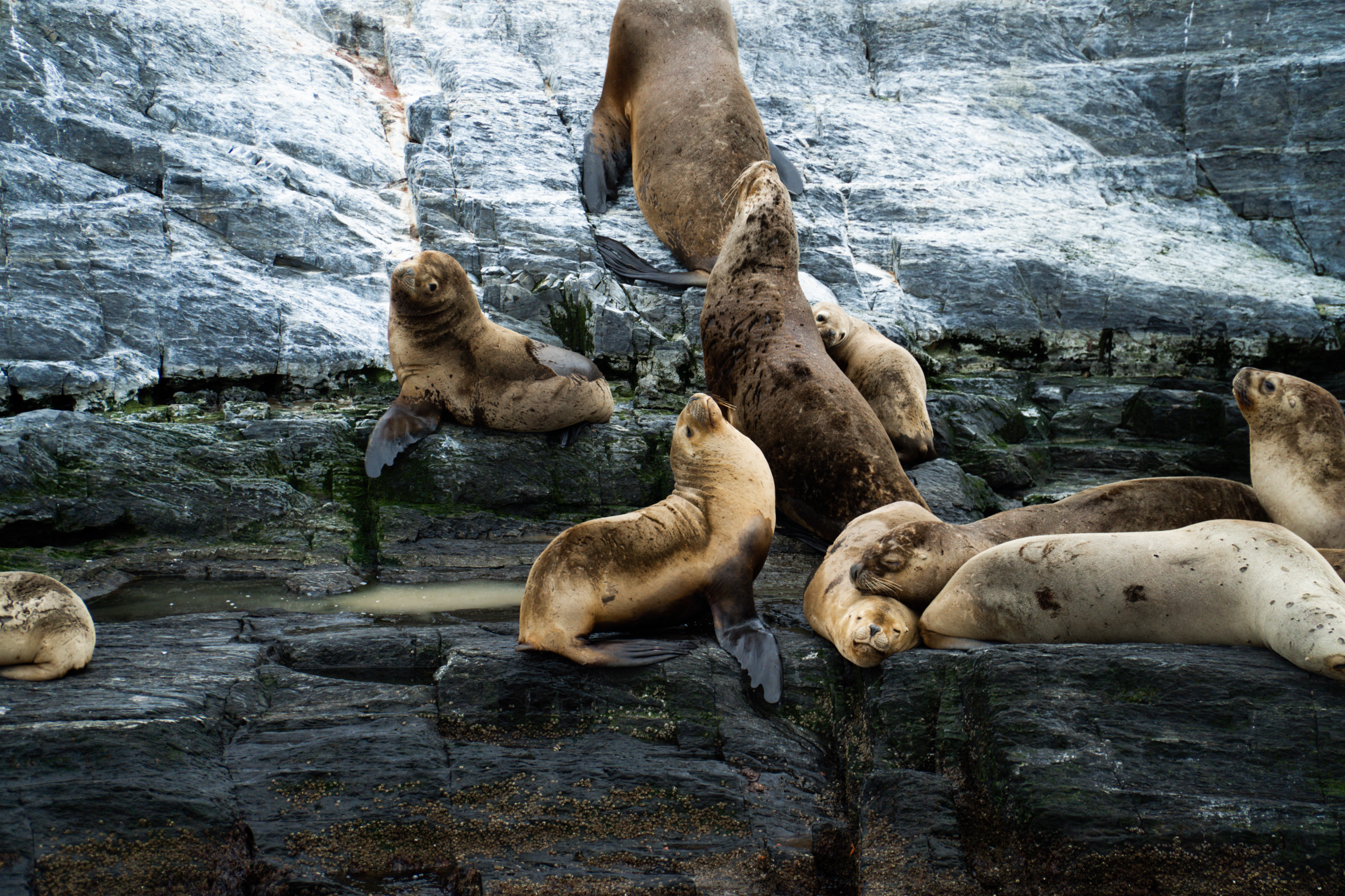 Patagonia: Edge of the World featuring Argentina, Chile, and a 4-Night Patagonia Cruise