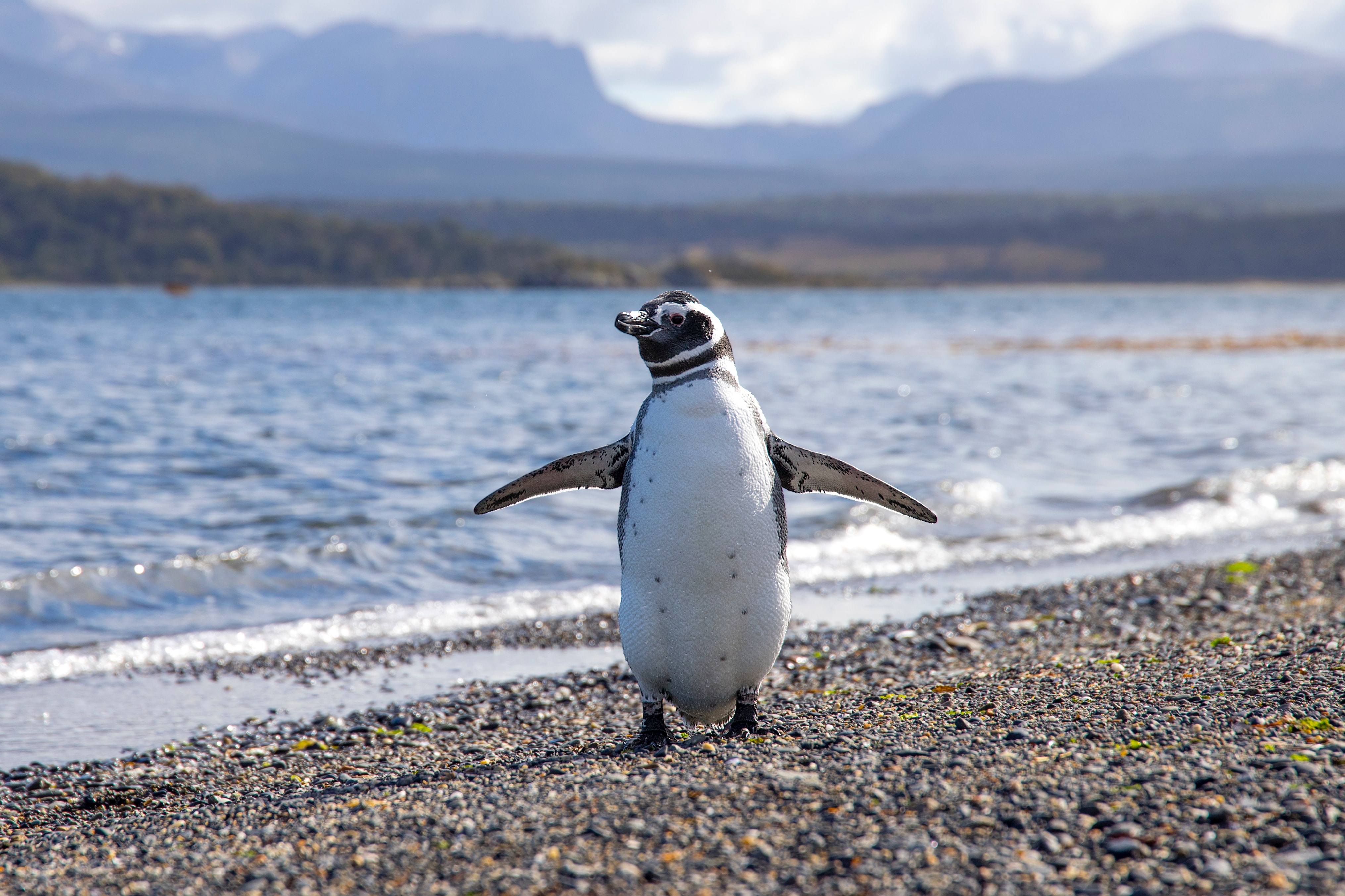 Patagonia: Edge of the World featuring Argentina, Chile, and a 4-Night Patagonia Cruise