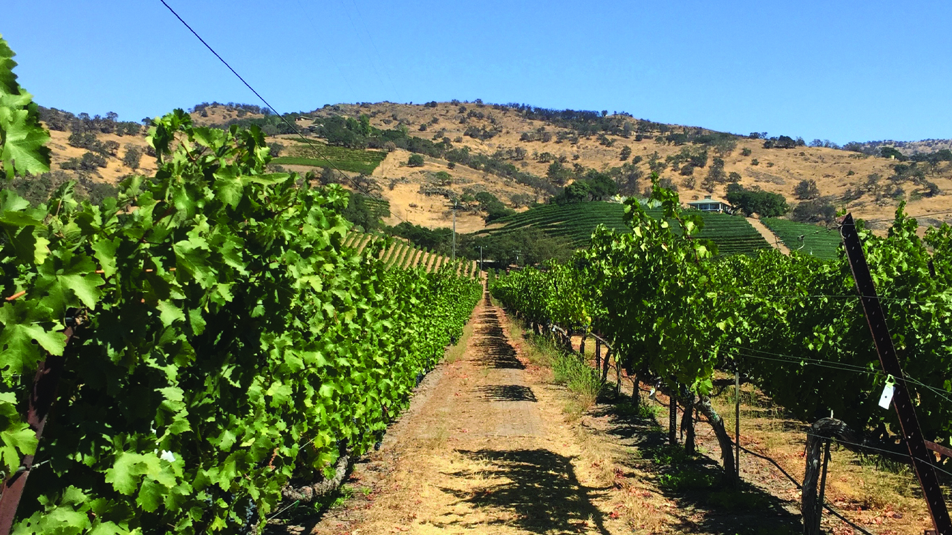 California Dreamin': Monterey, Yosemite and Napa