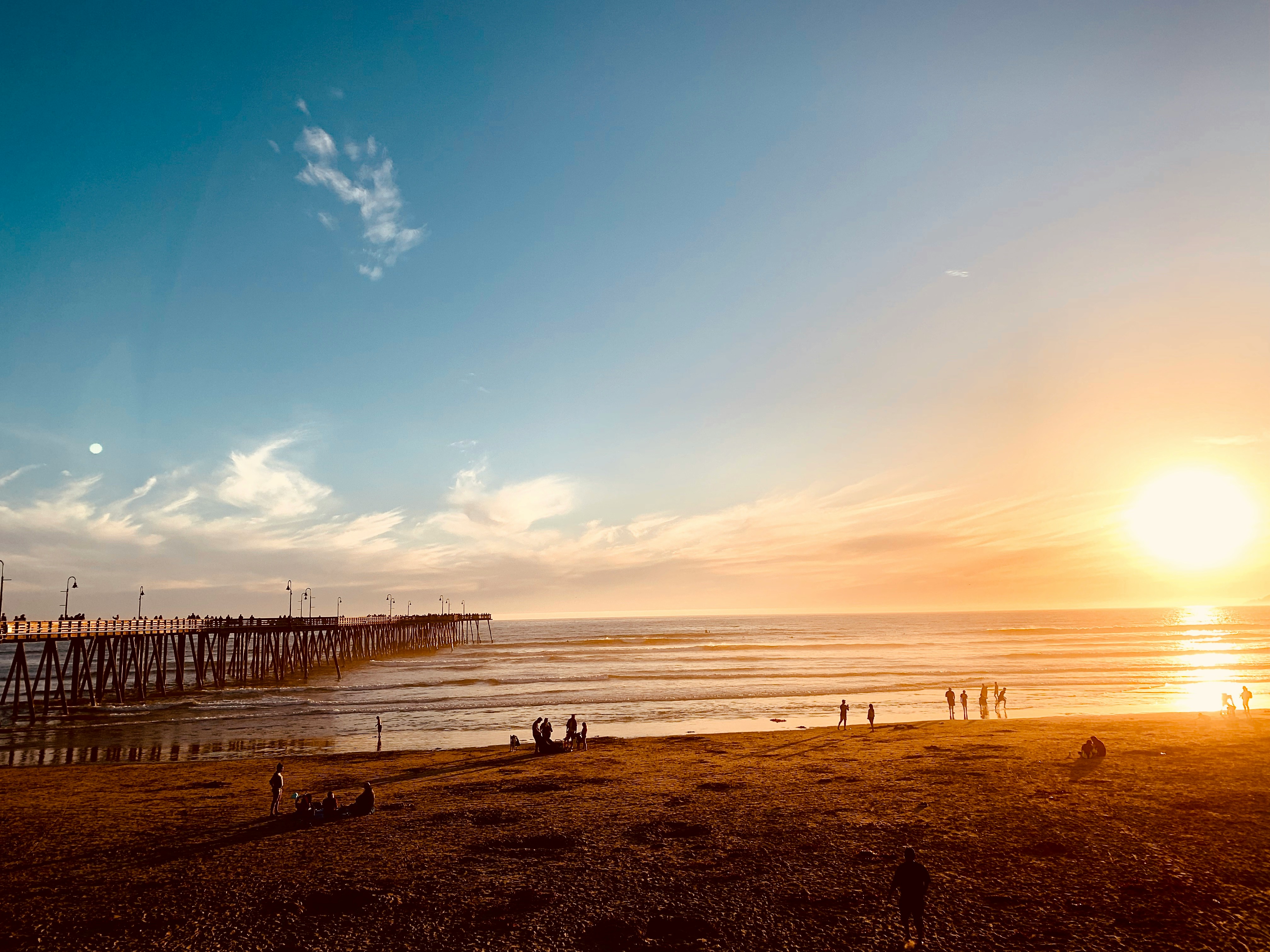 Coastal California & Sequoia National Park featuring San Diego, Los Angeles & Pismo Beach