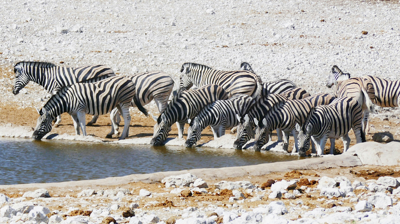 Namibia & South Africa: Epic Landscapes and Wildlife