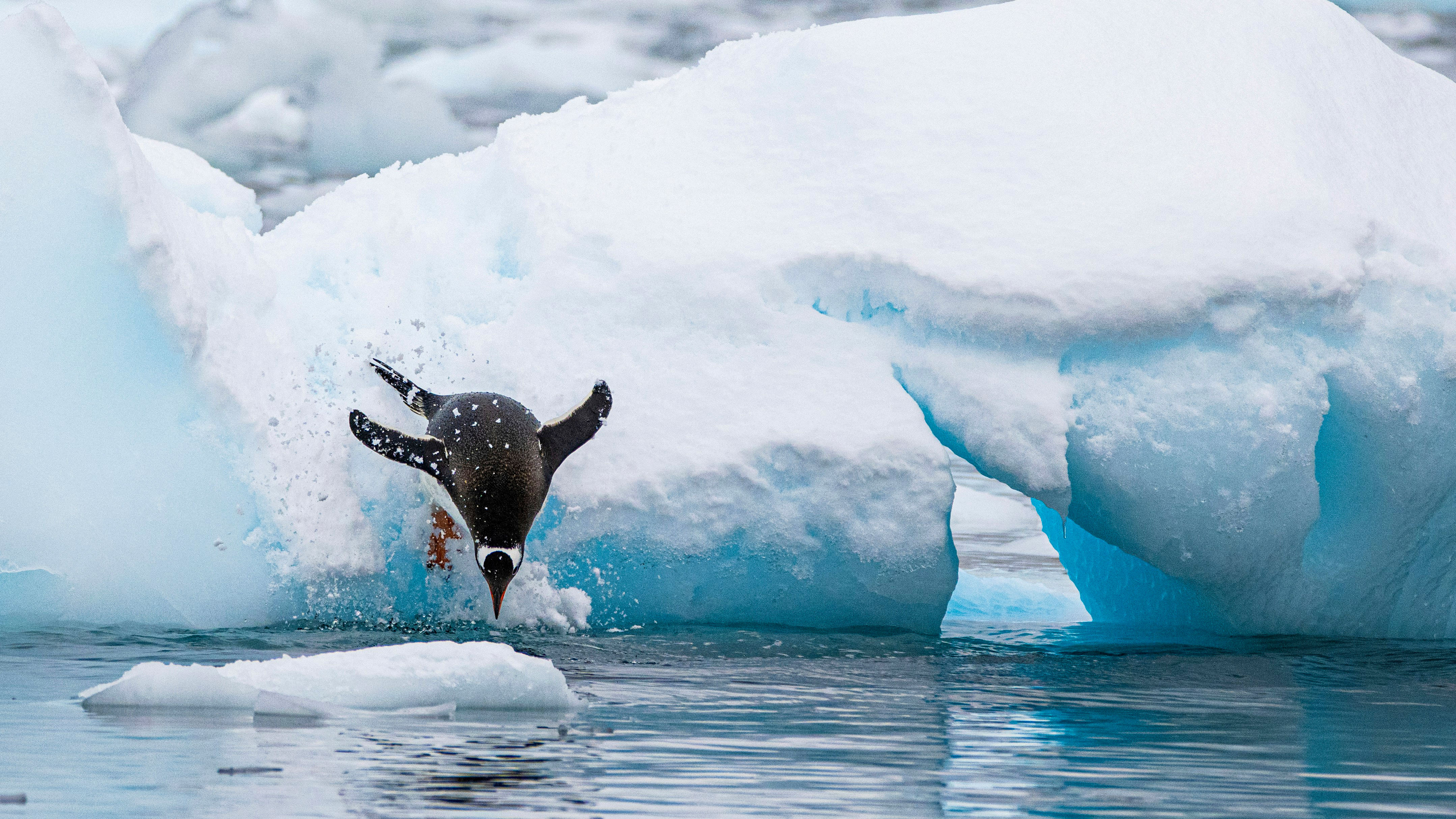 Antarctica: The White Continent