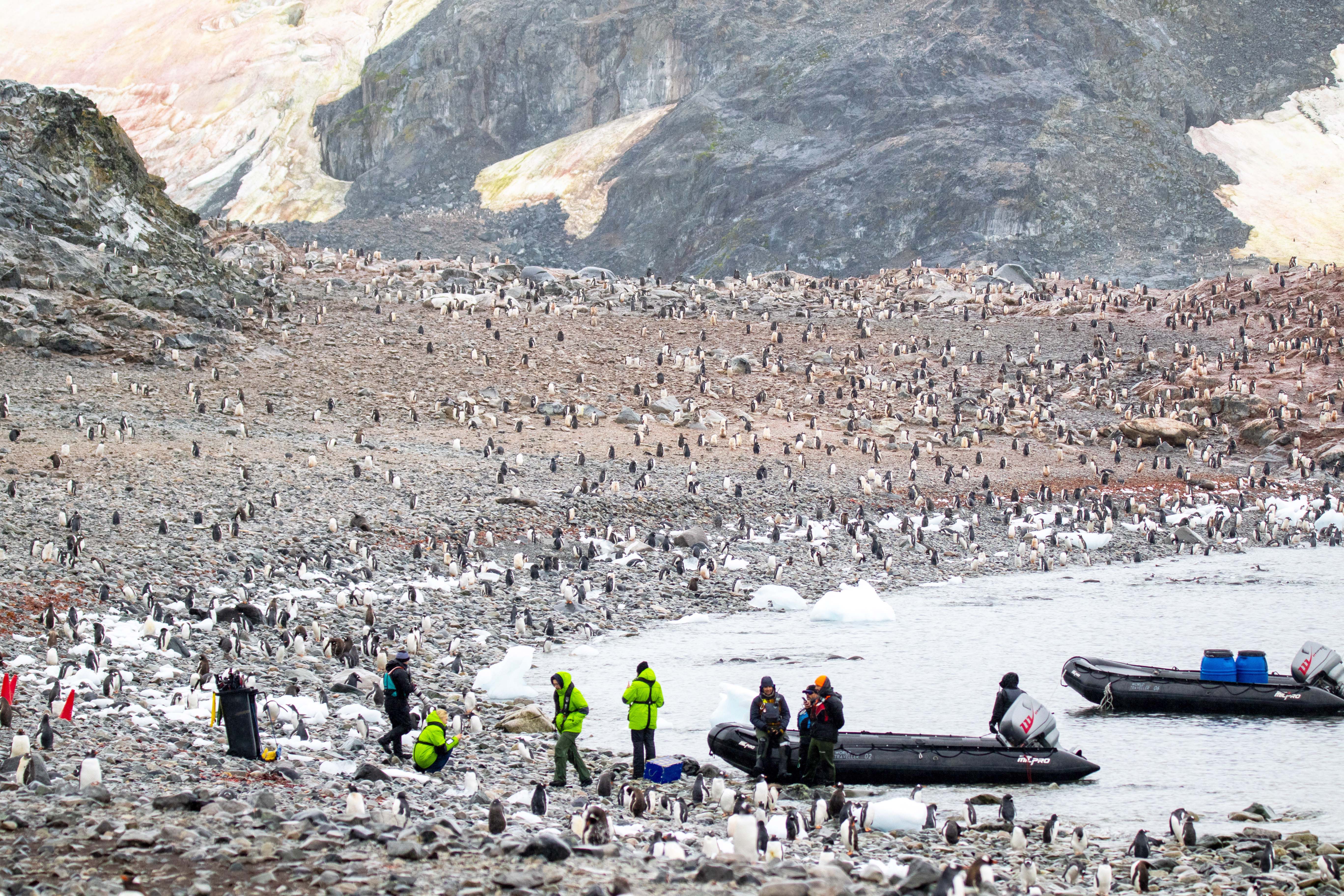 Antarctica: The White Continent