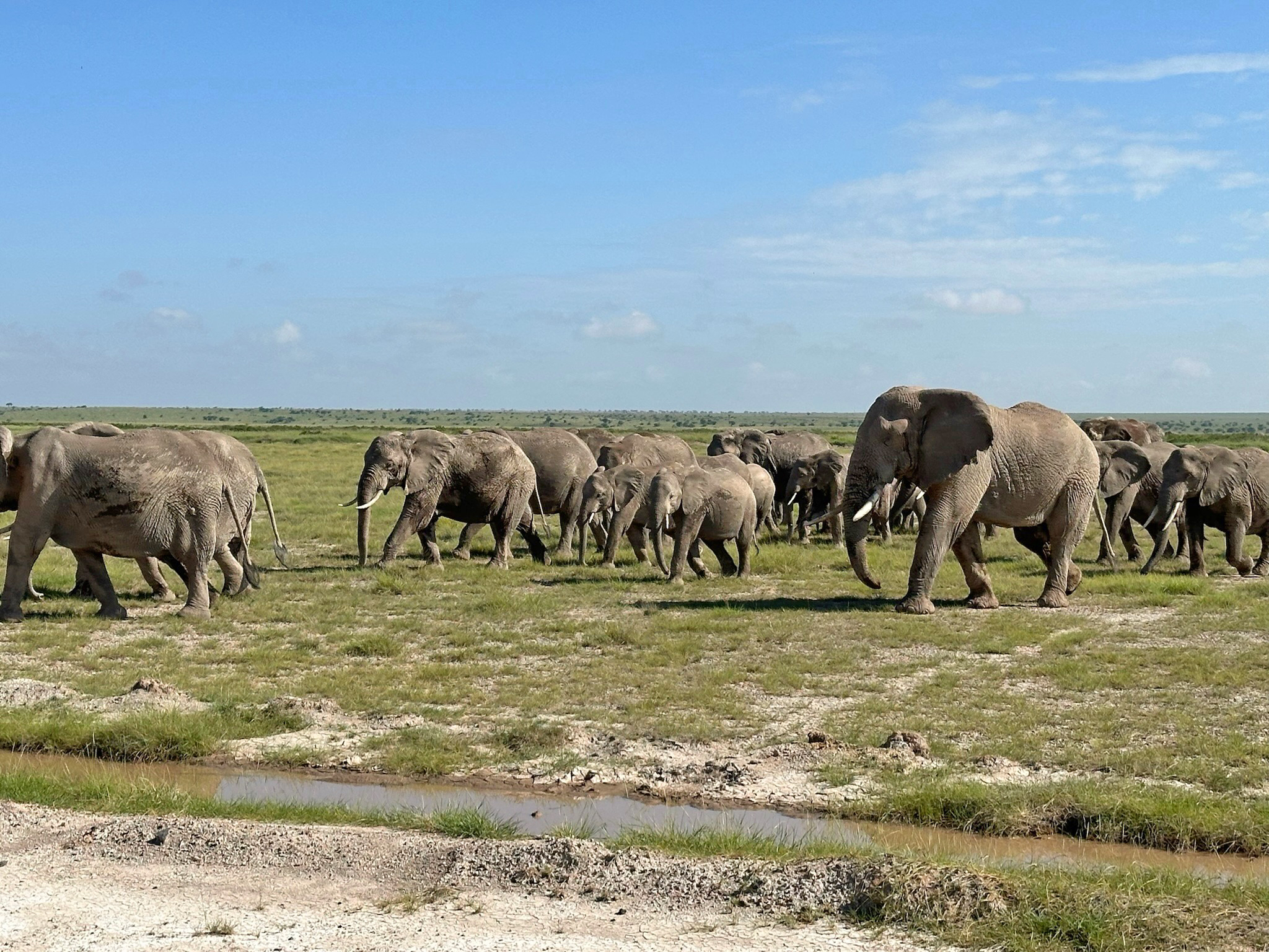 Cape Town to Cairo: The Ultimate African Expedition featuring Victoria Falls, Masai Mara, and 4-Night Luxor to Aswan Cruise