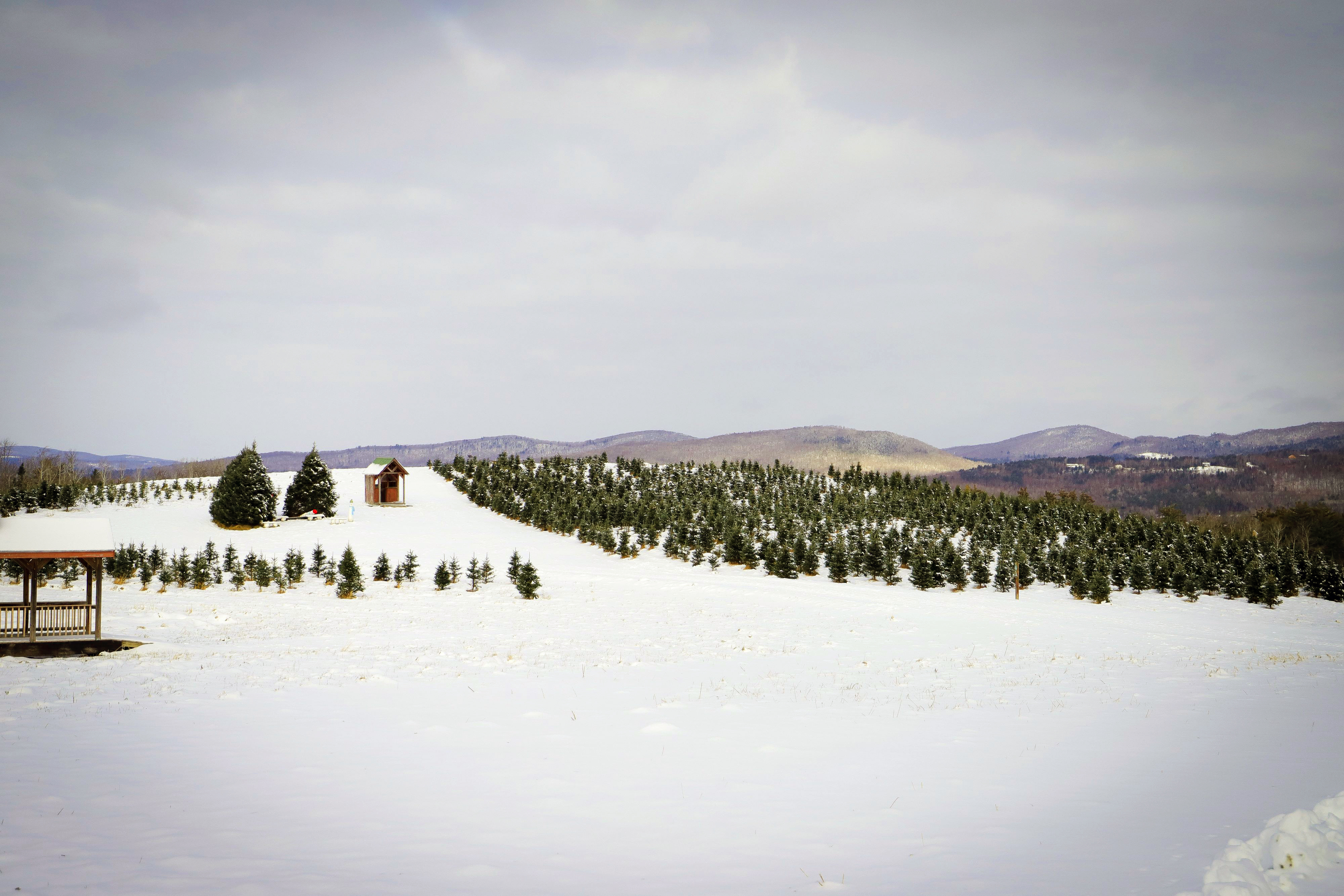 New England Holiday featuring the historic Omni Mount Washington Resort