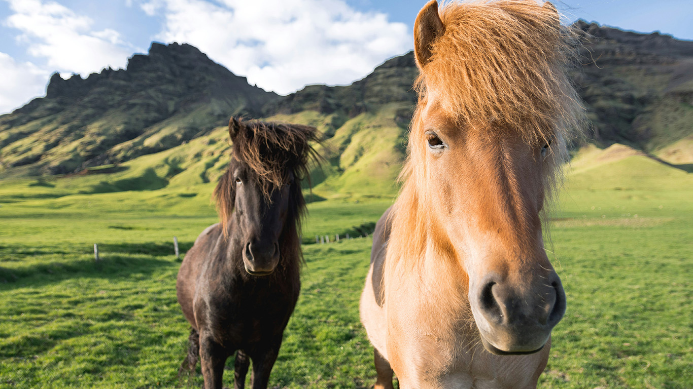Iconic Iceland Chasing the Northern Lights