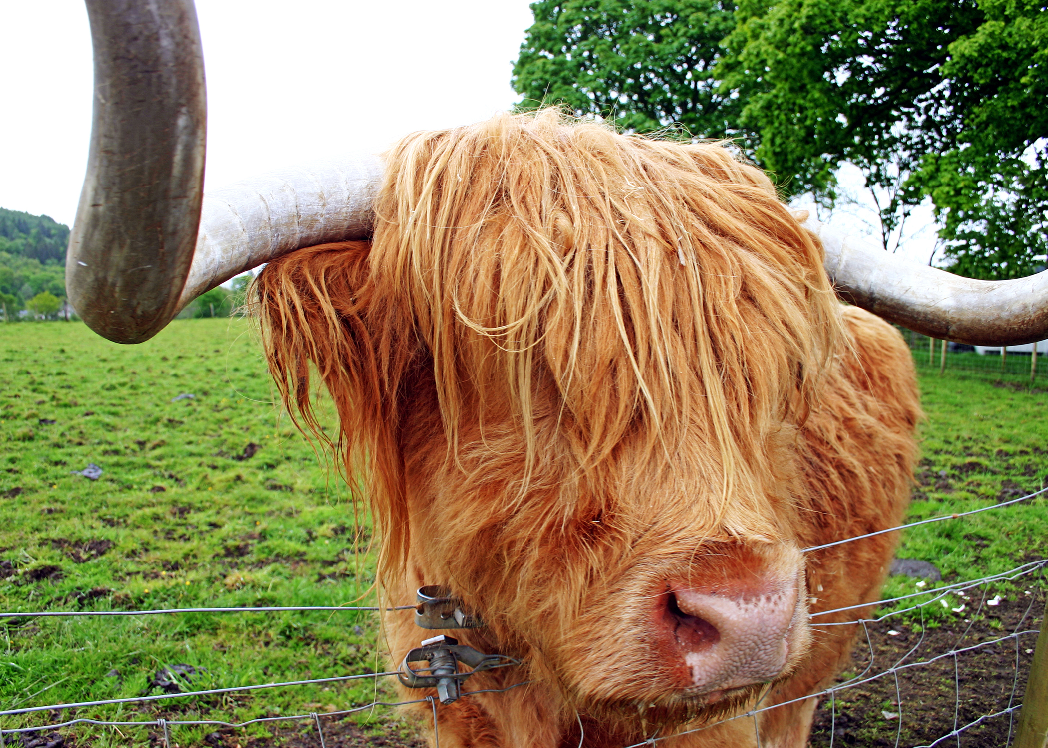 Discover Scotland