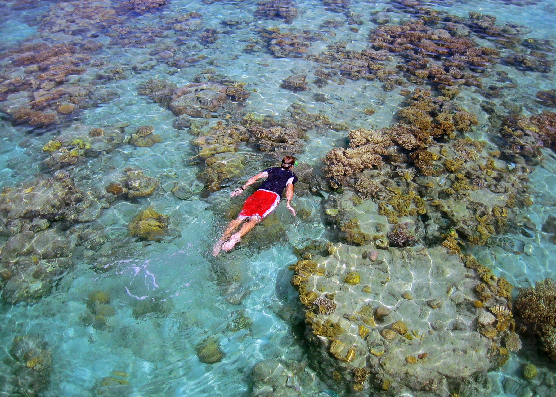 South Pacific Wonders