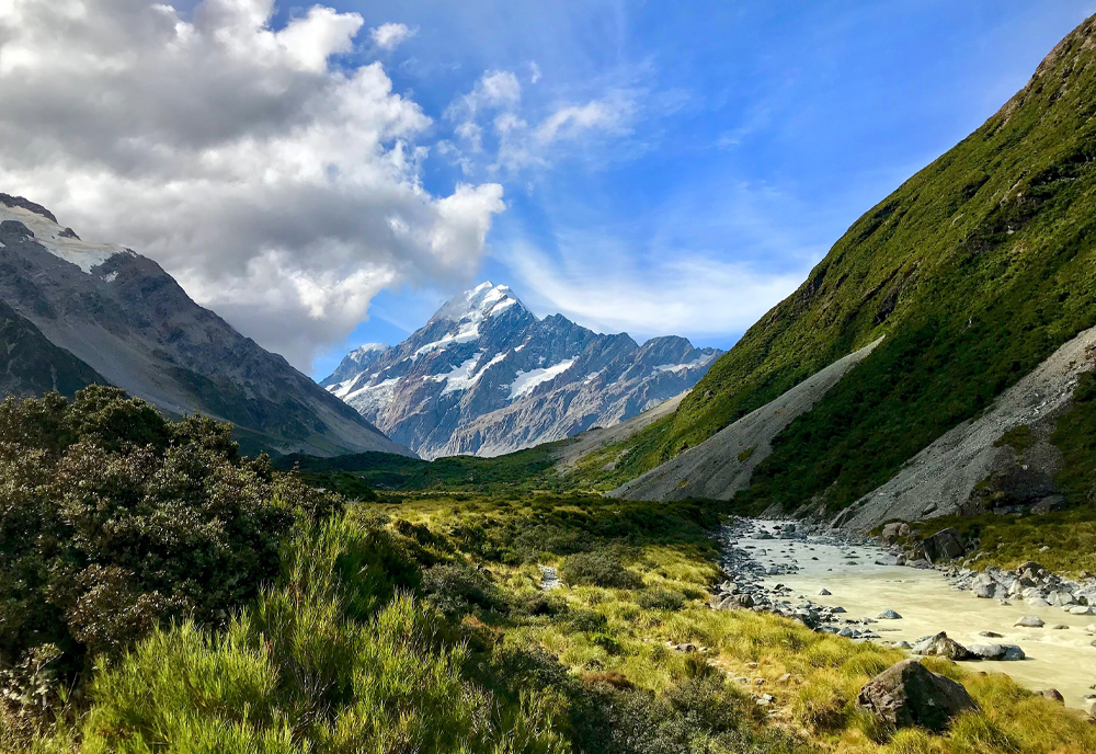 The Complete South Pacific