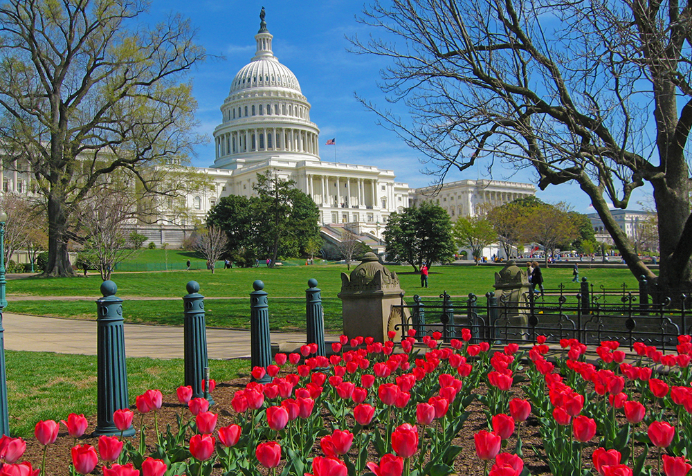 Spotlight on Washington, D.C. Exploring America's Capital