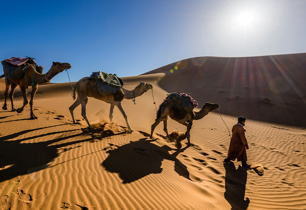 Colors of Morocco